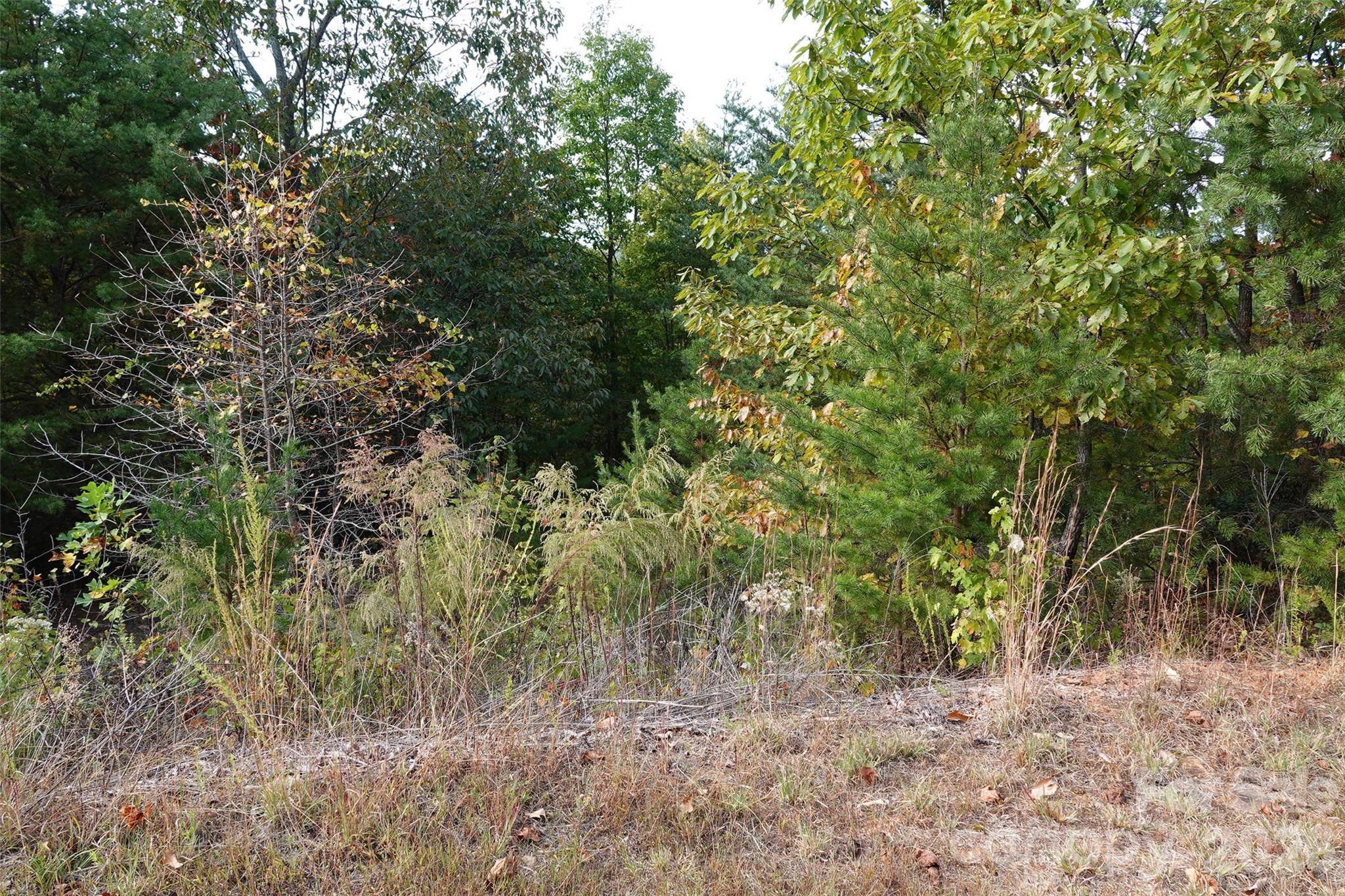 109 Ampersand Trail Property Photo 2