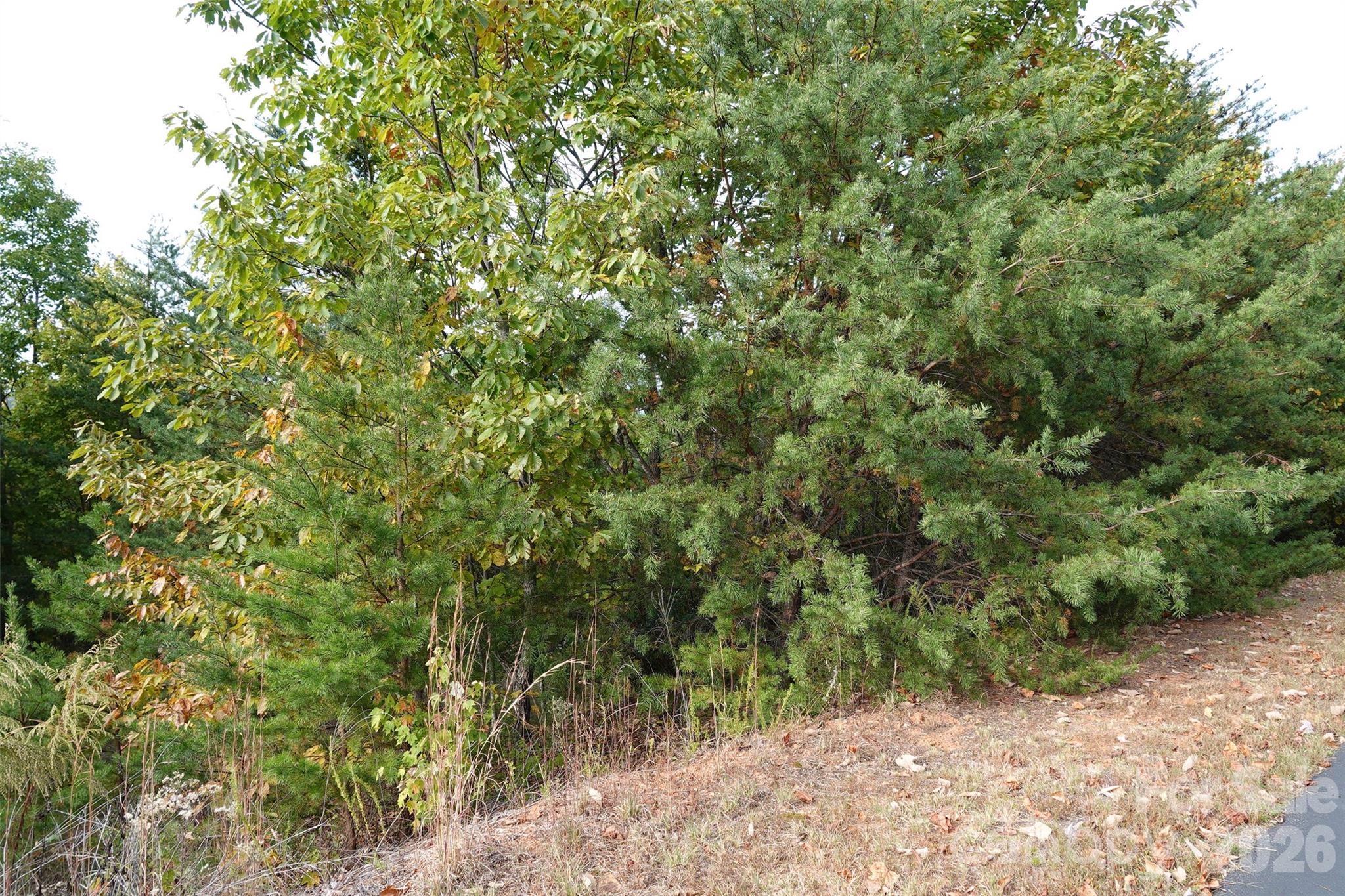 109 Ampersand Trail Property Photo 3