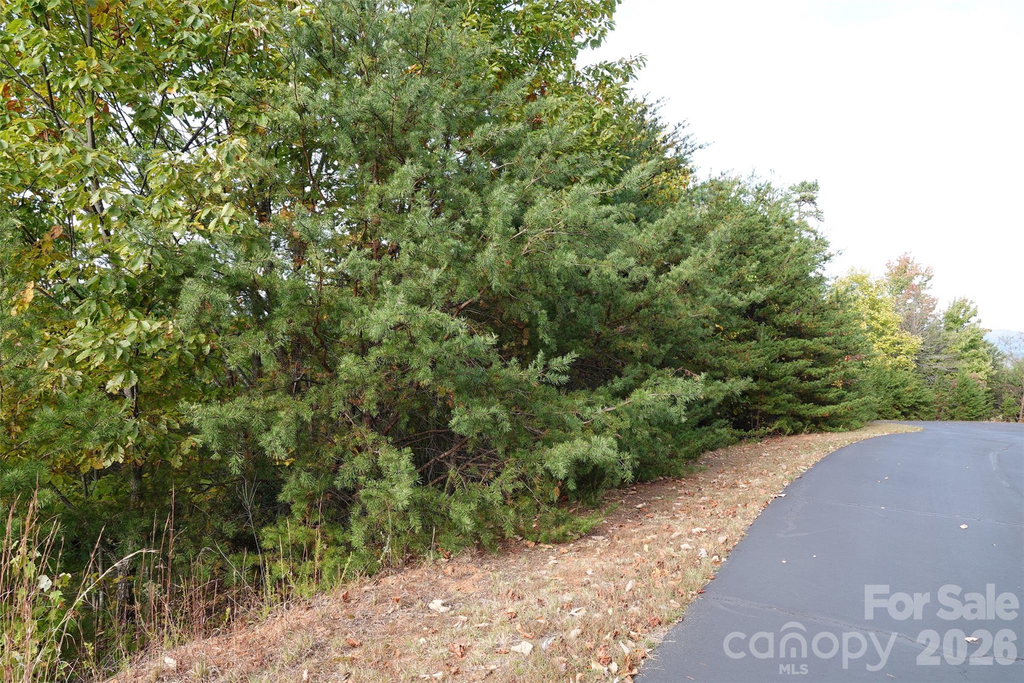 109 Ampersand Trail Property Photo 4