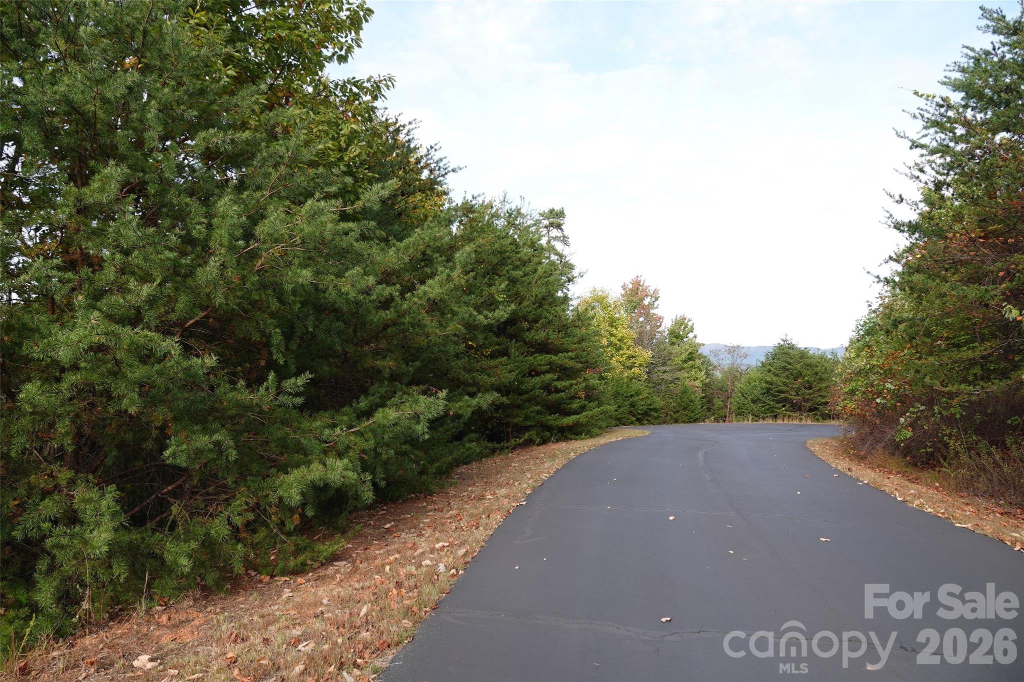 109 Ampersand Trail Property Photo 5