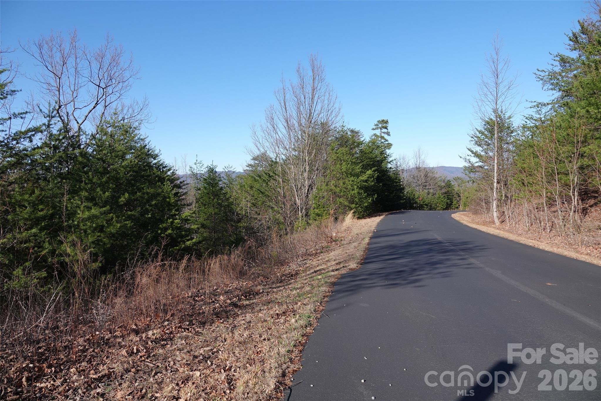 109 Ampersand Trail Property Photo 7