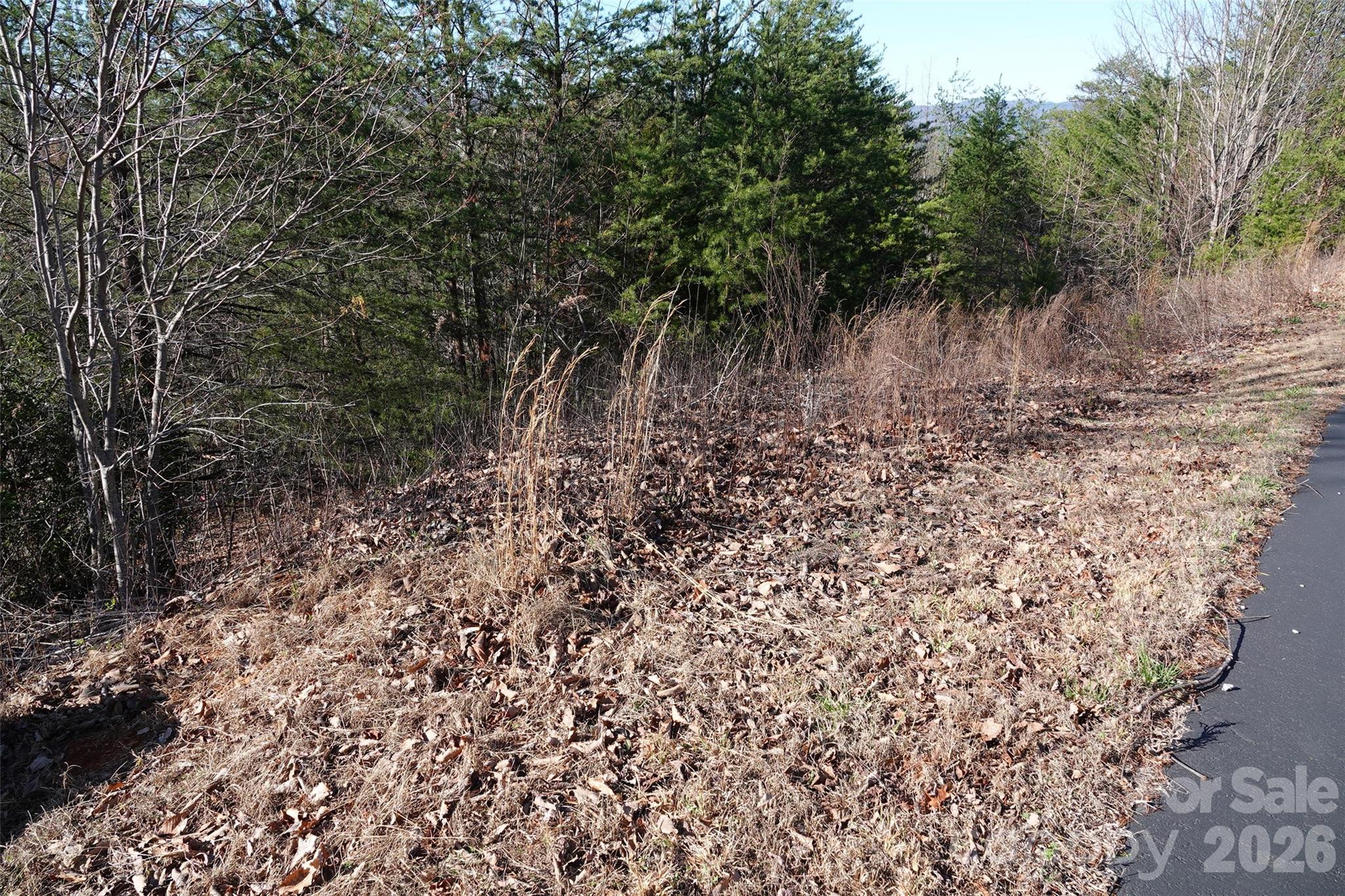 109 Ampersand Trail Property Photo 10