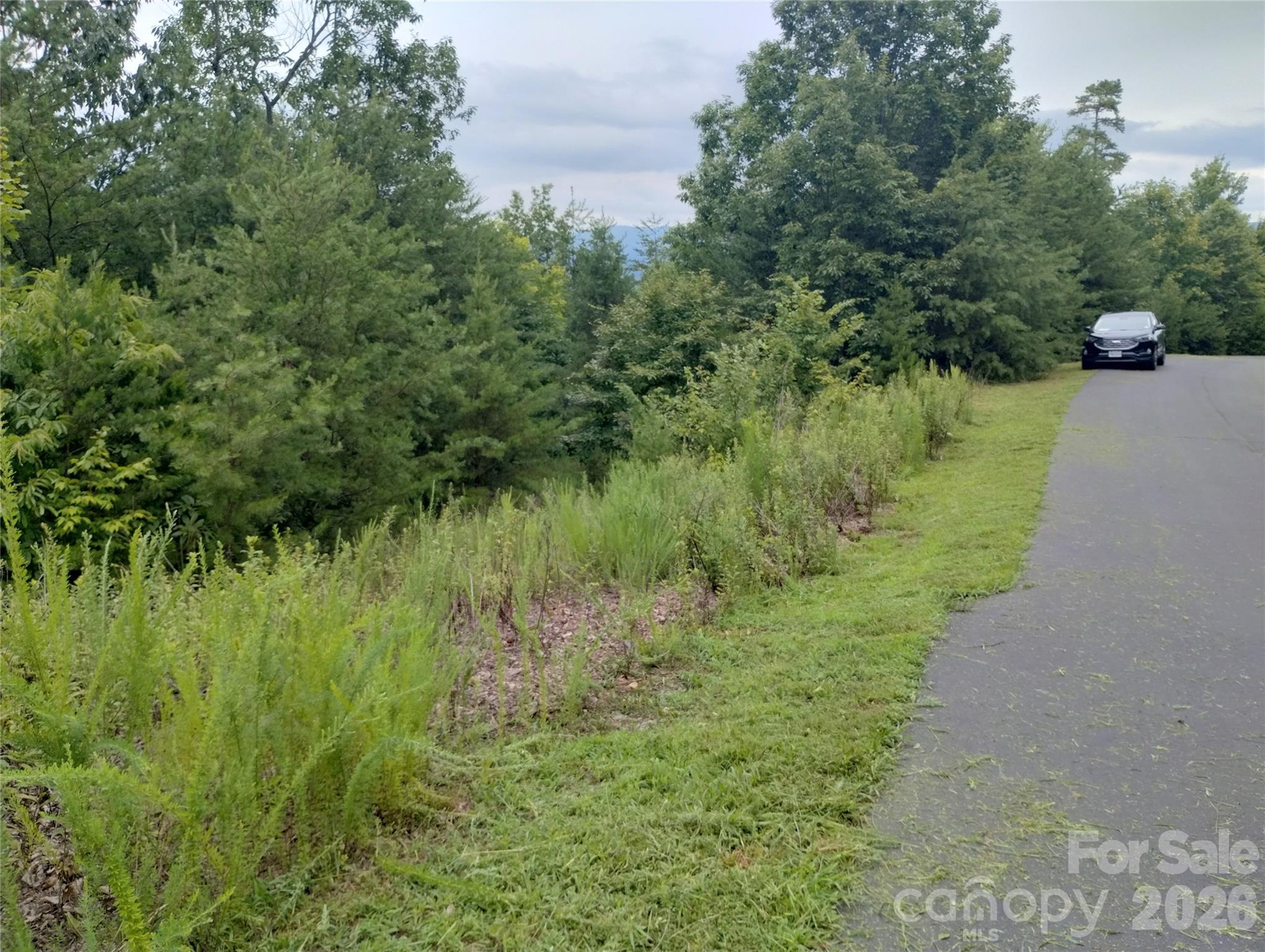 109 Ampersand Trail Property Photo 11