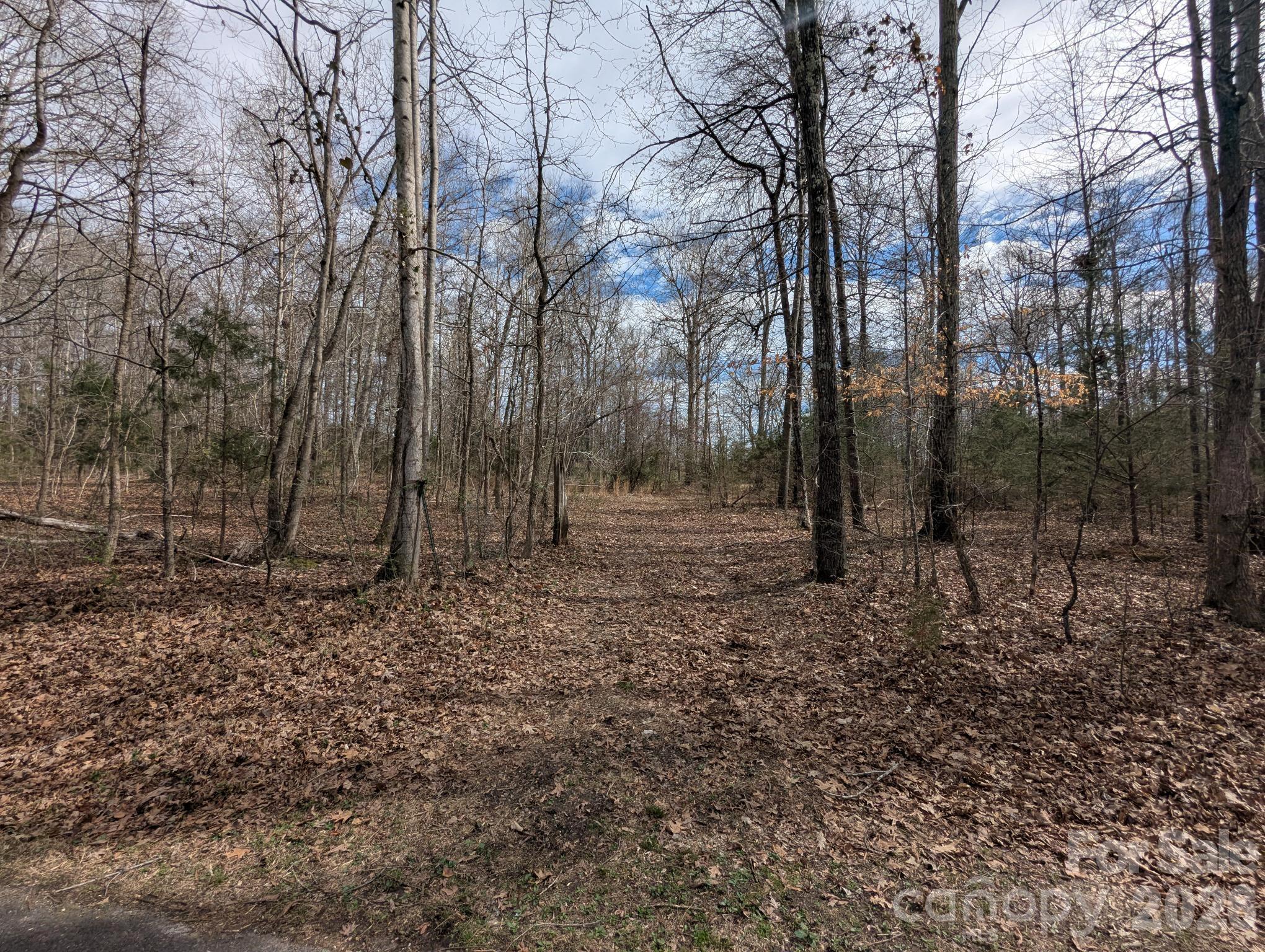 5.66 Acres Diane Road Property Photo 1