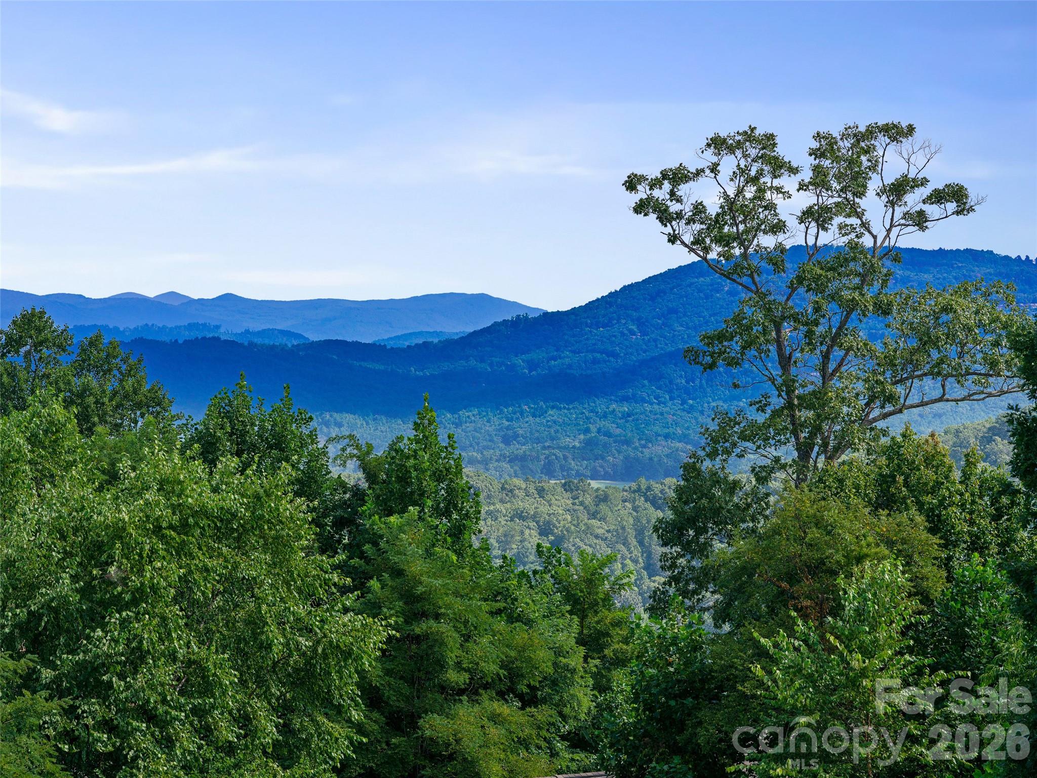 247 Coachman Drive Property Photo 48