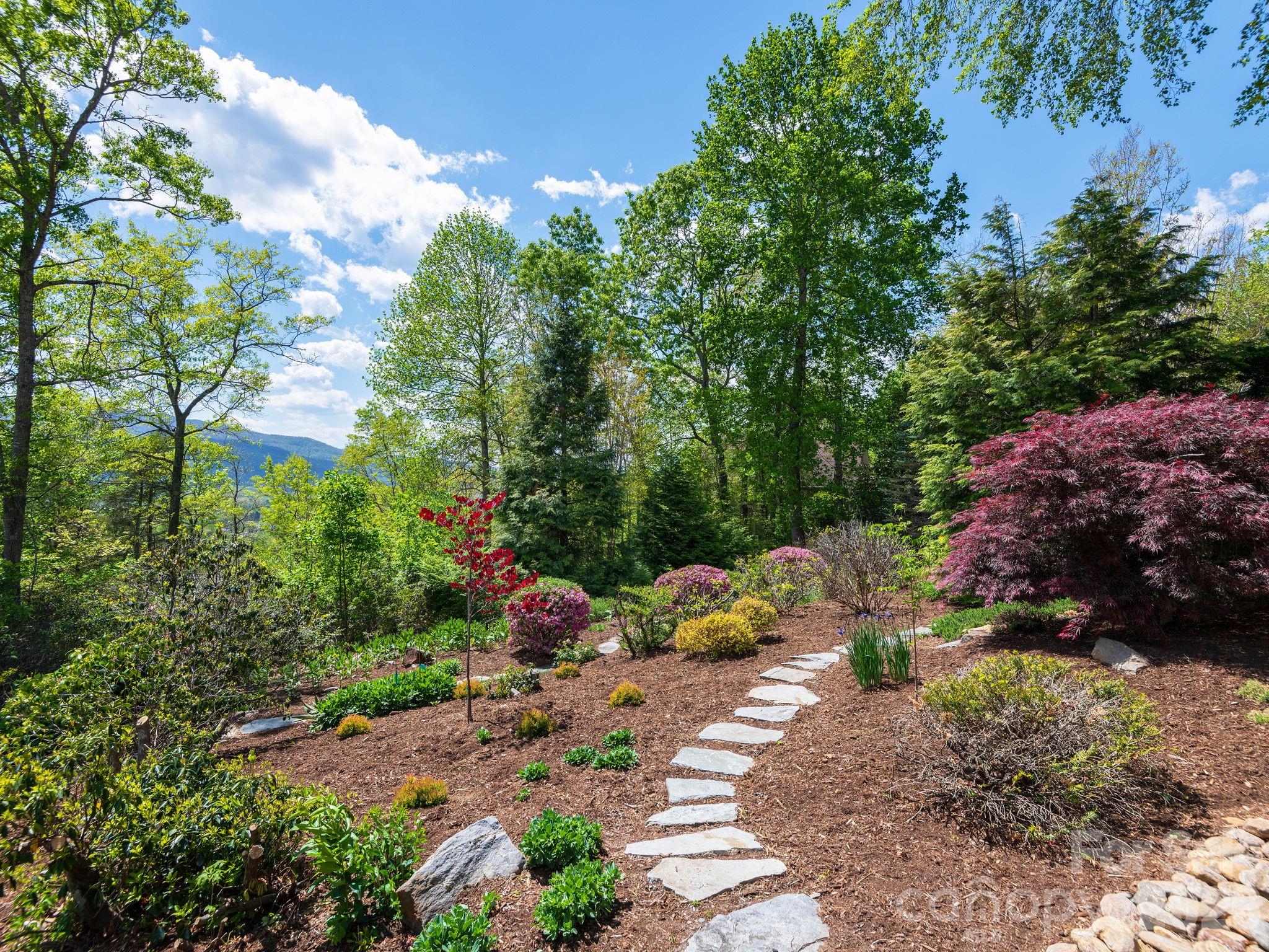 43 Galax Lane Property Photo 6