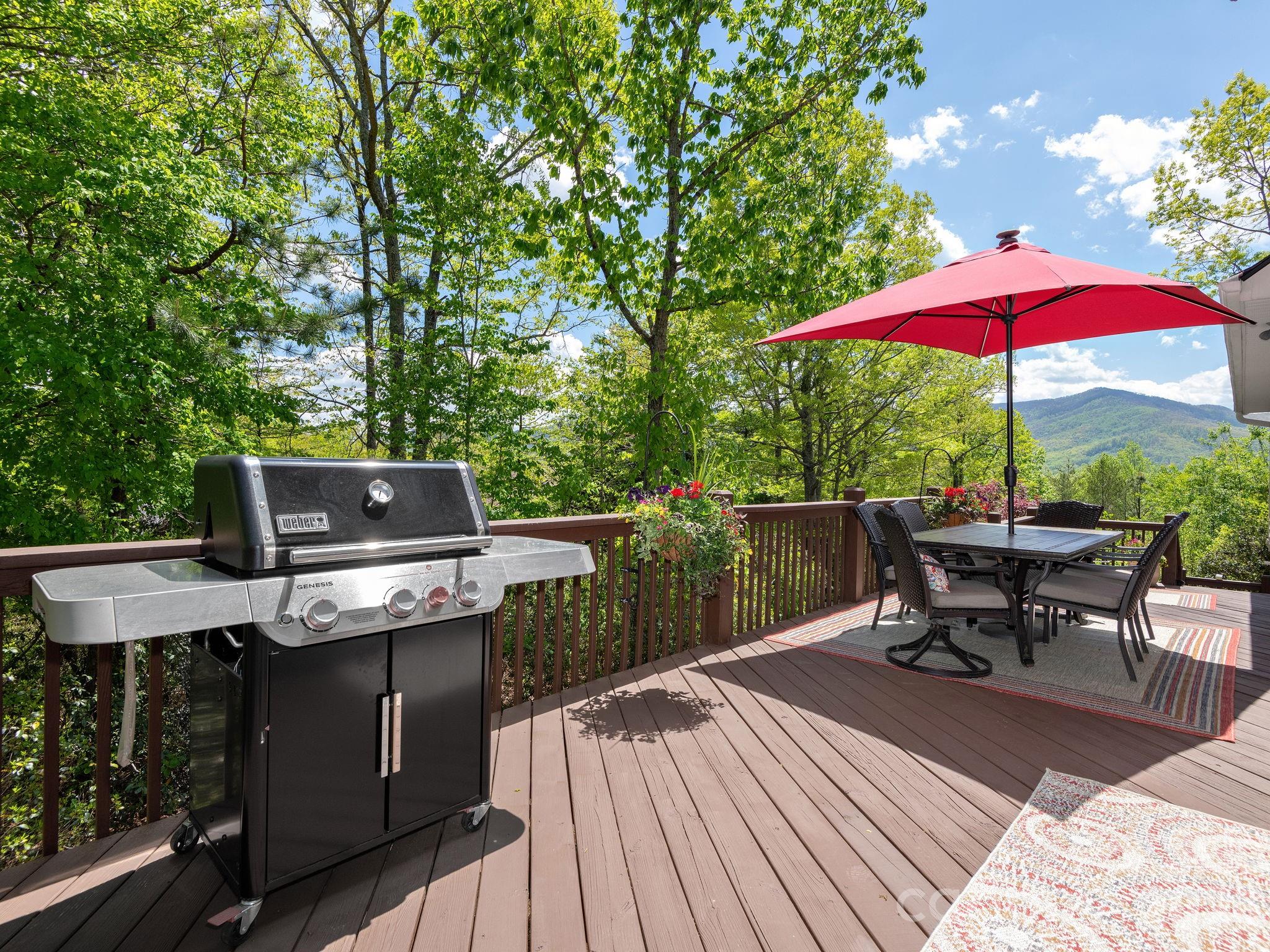 43 Galax Lane Property Photo 28
