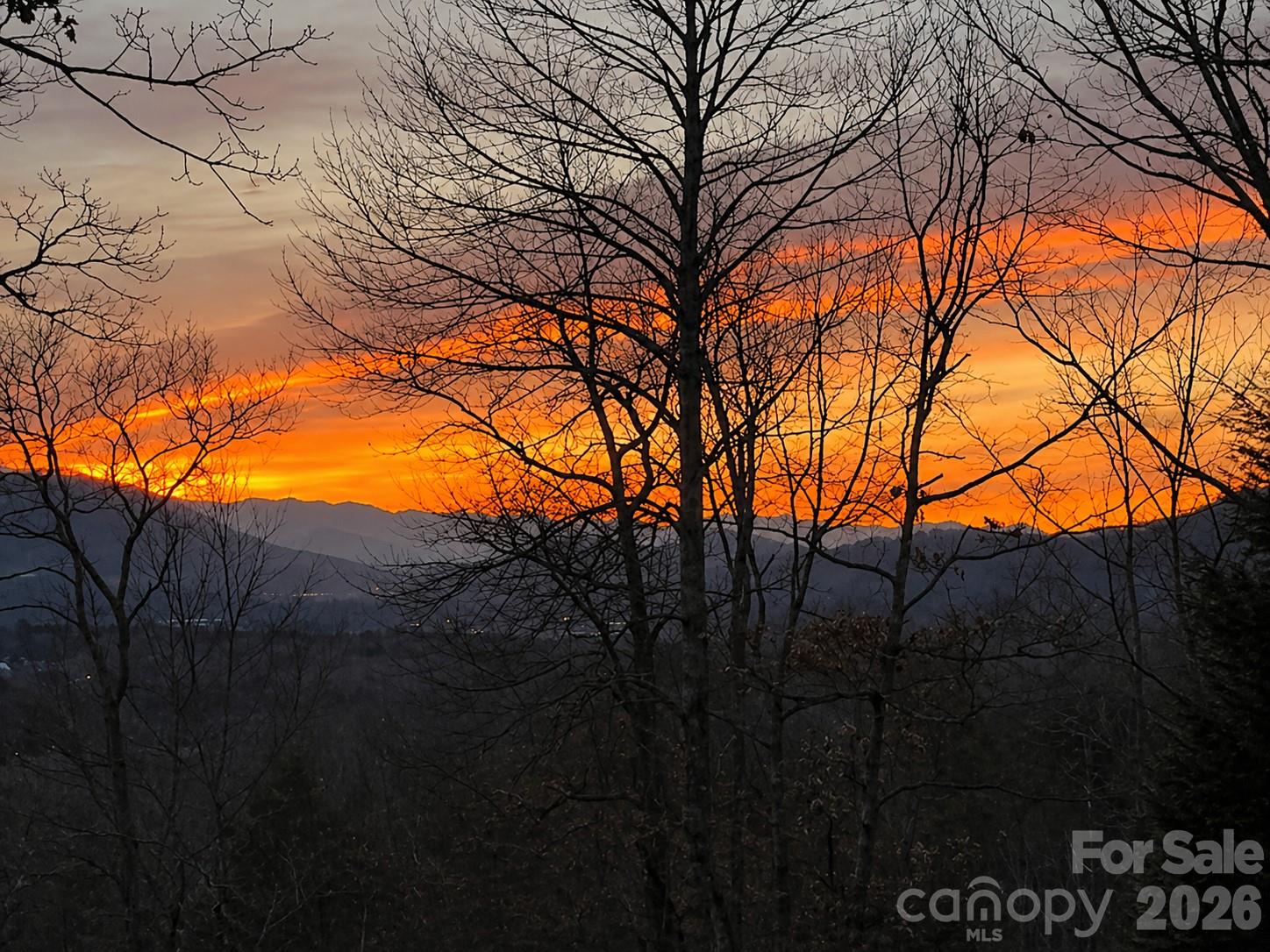 43 Galax Lane Property Photo 36
