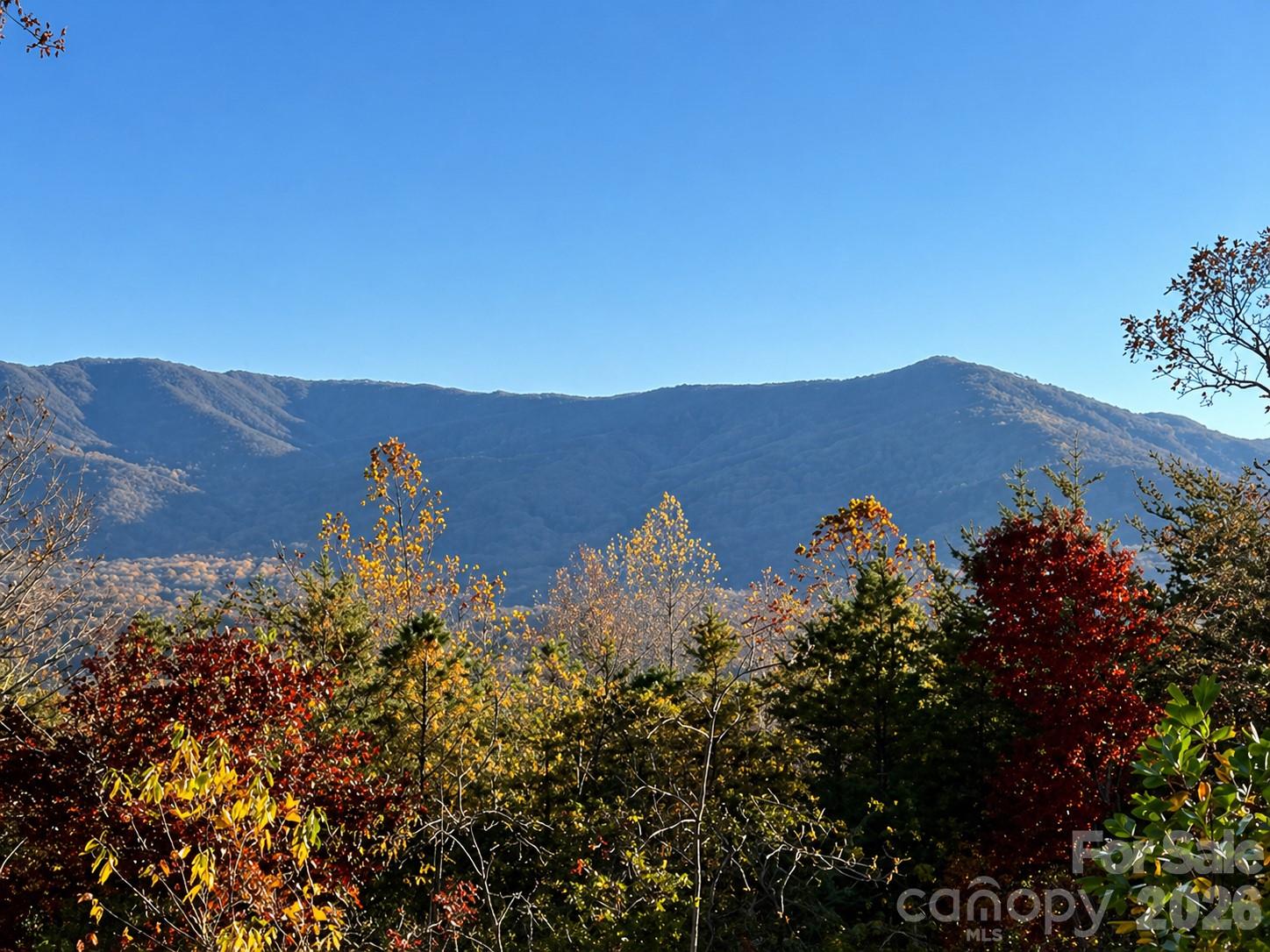 43 Galax Lane Property Photo 38