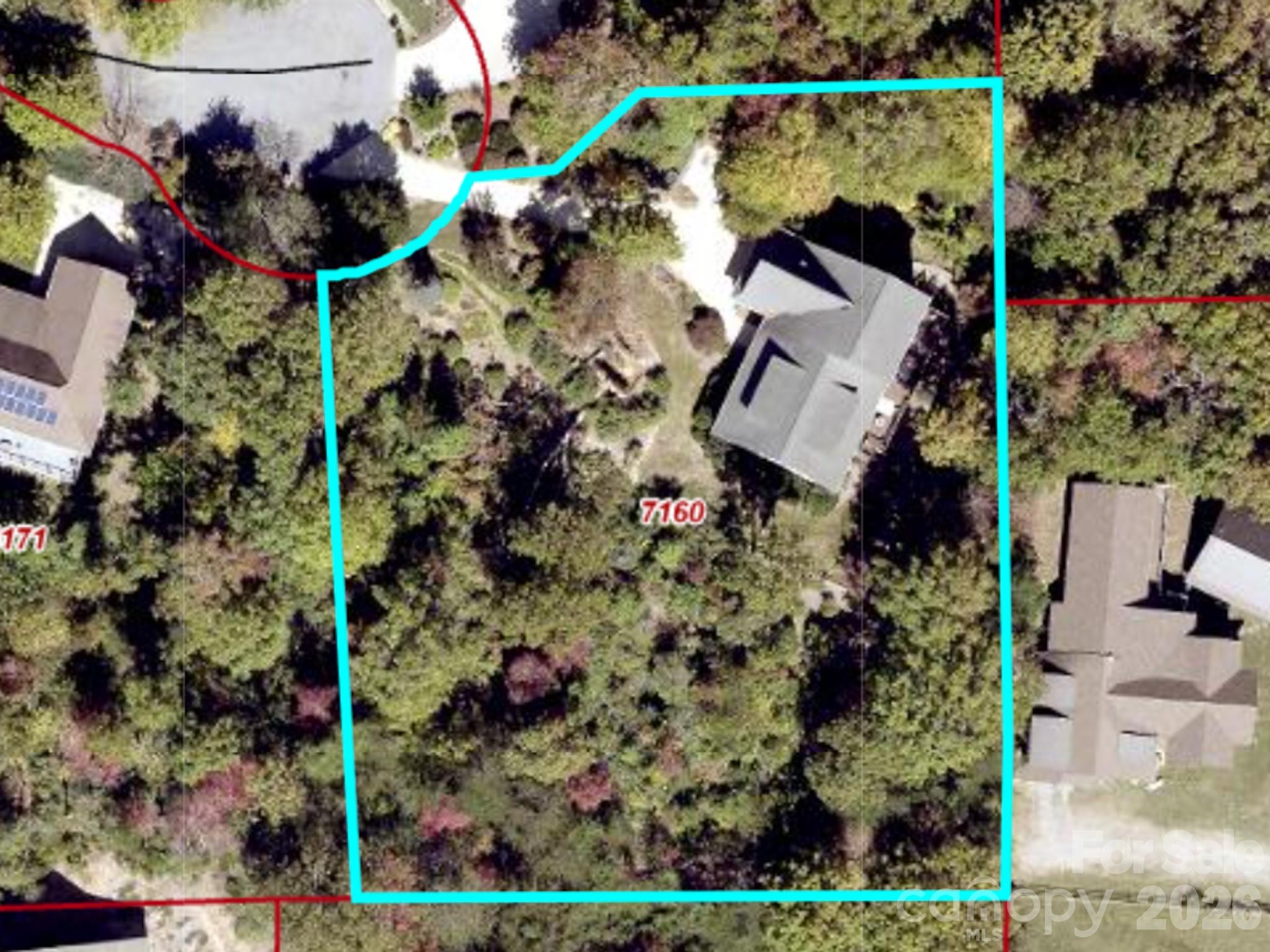 43 Galax Lane Property Photo 41