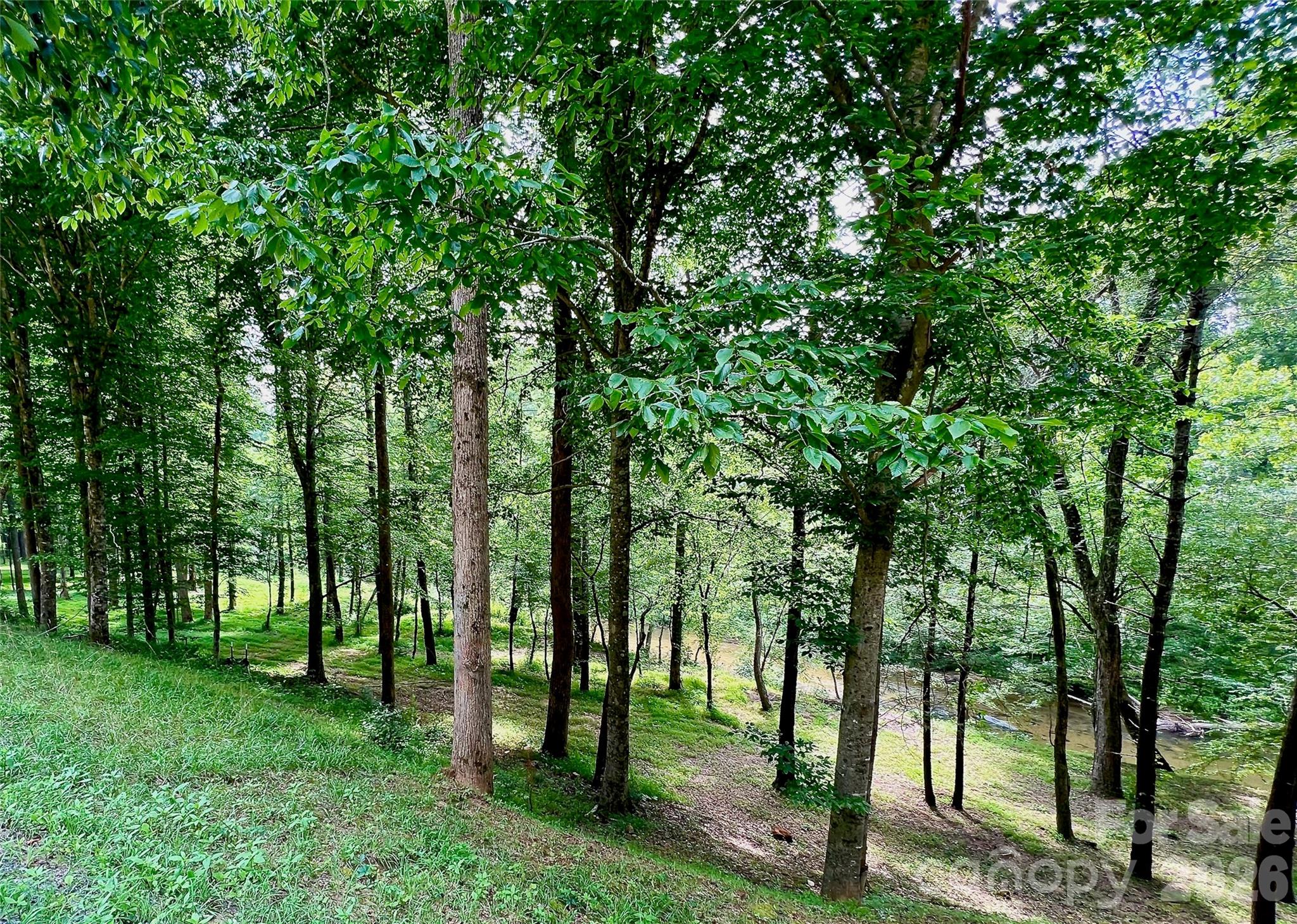 5915 River Hollow Trail 758 Property Photo 9
