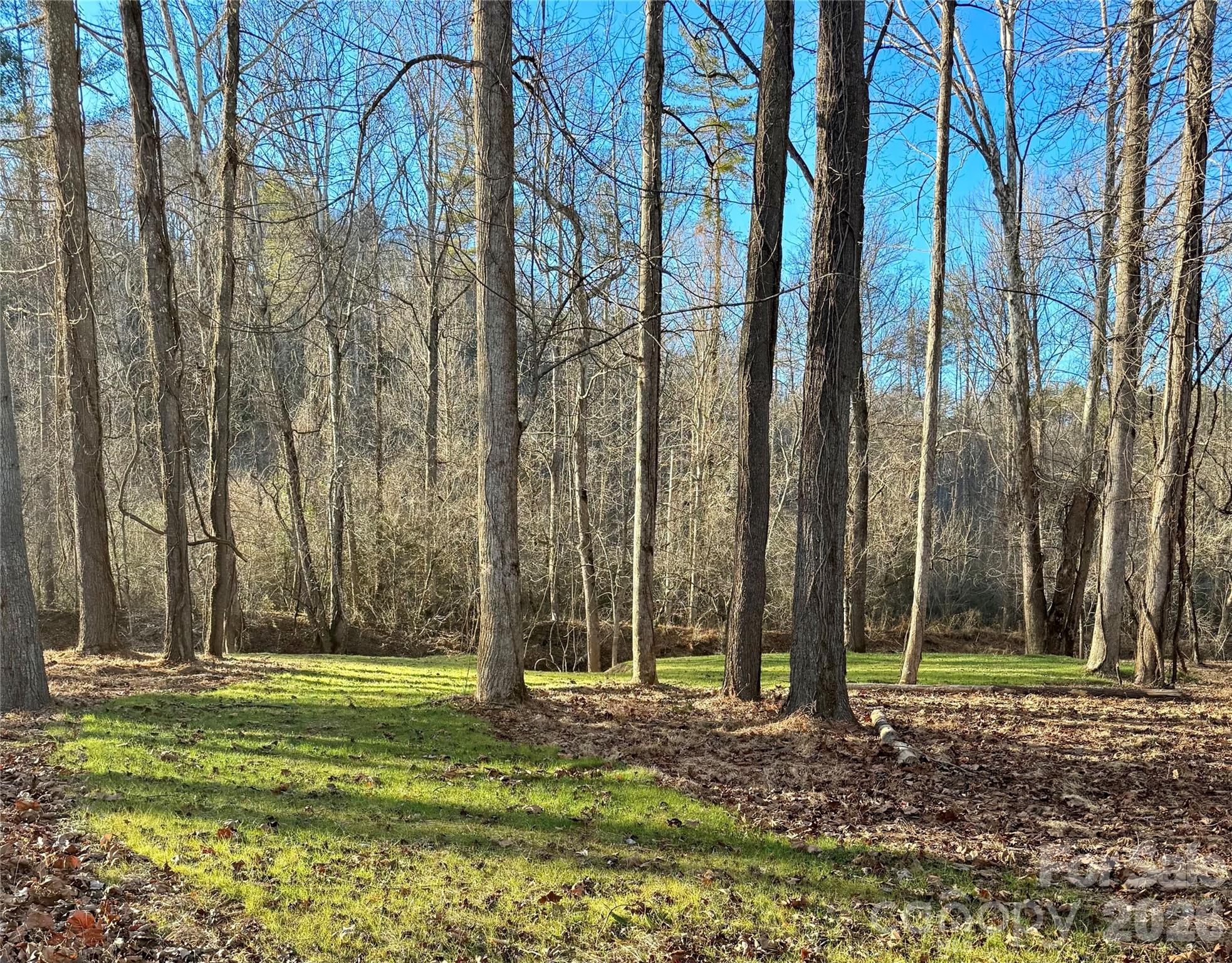 5915 River Hollow Trail 758 Property Photo 10