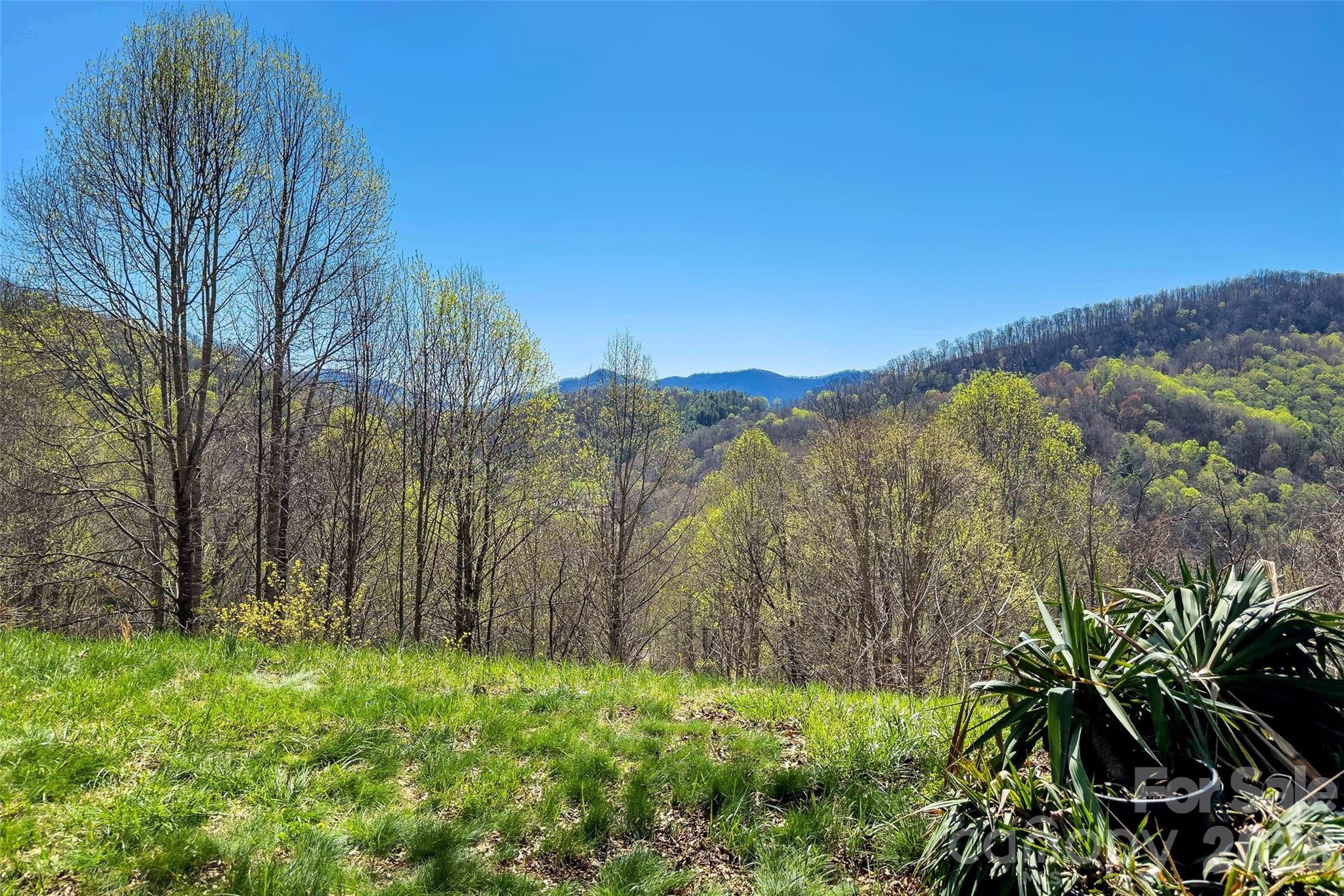 311 Pisgah Mine Road Property Photo 16