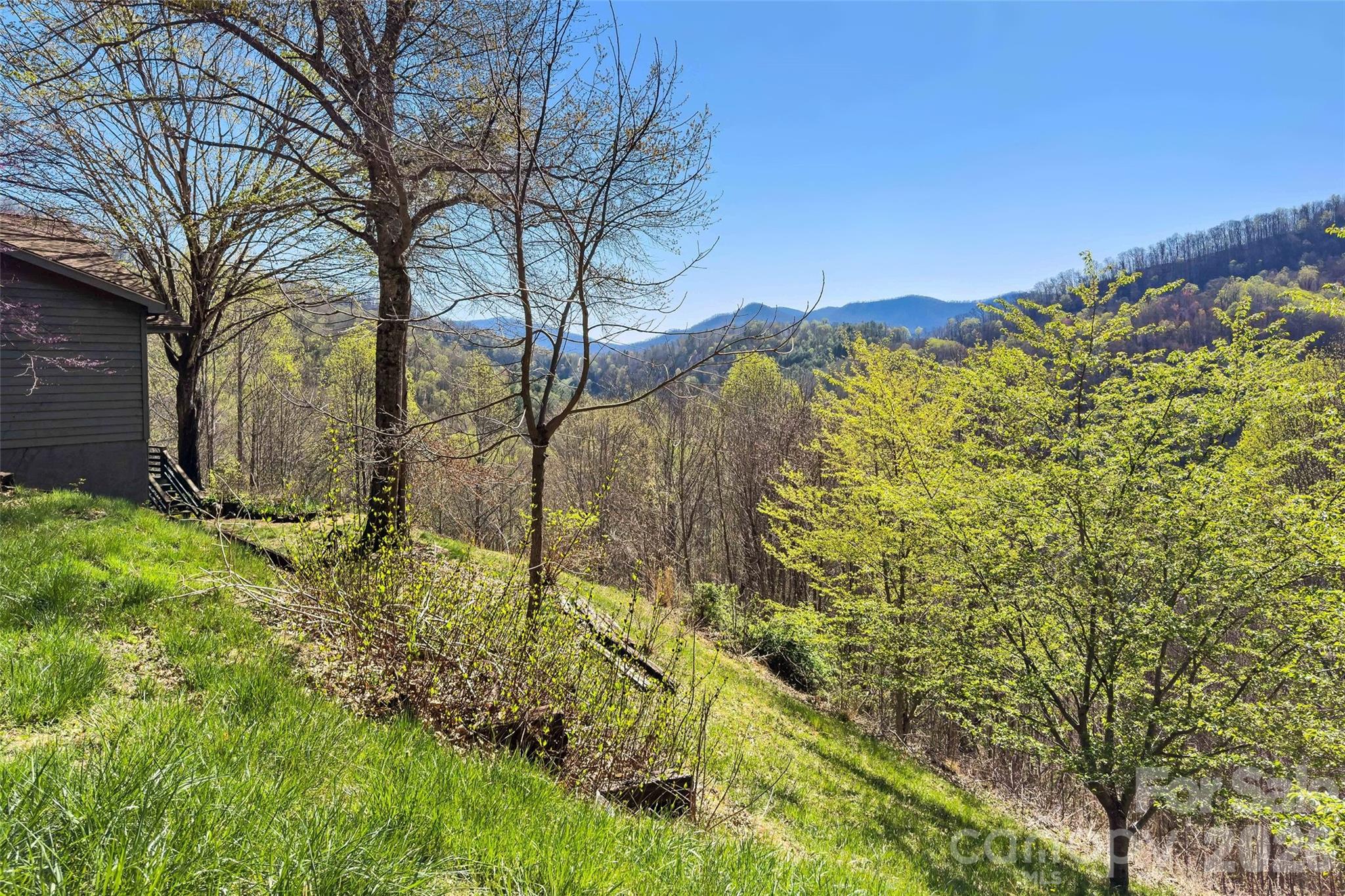 311 Pisgah Mine Road Property Photo 46