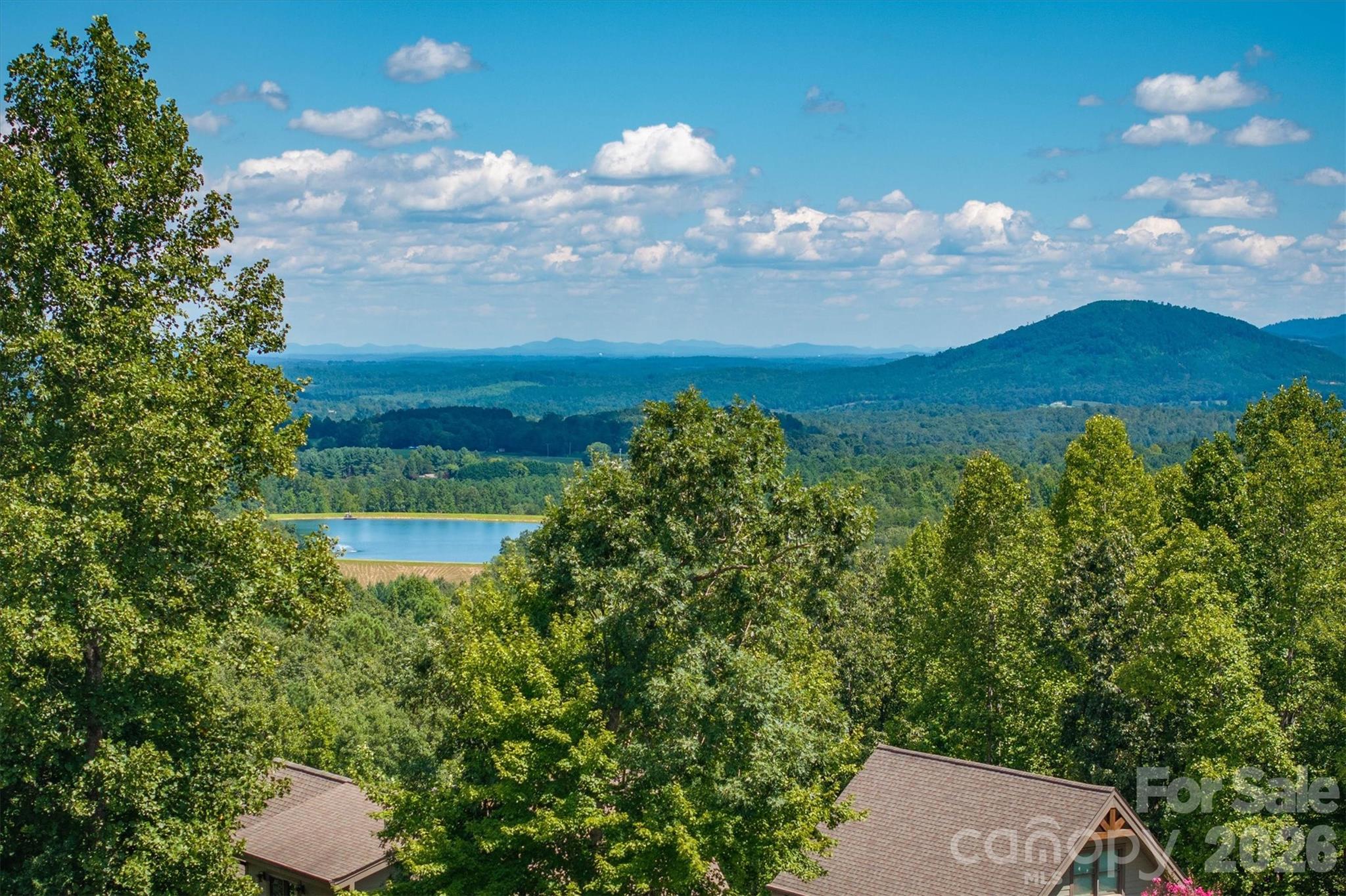 2262 Grandview Peaks Drive Property Photo 12