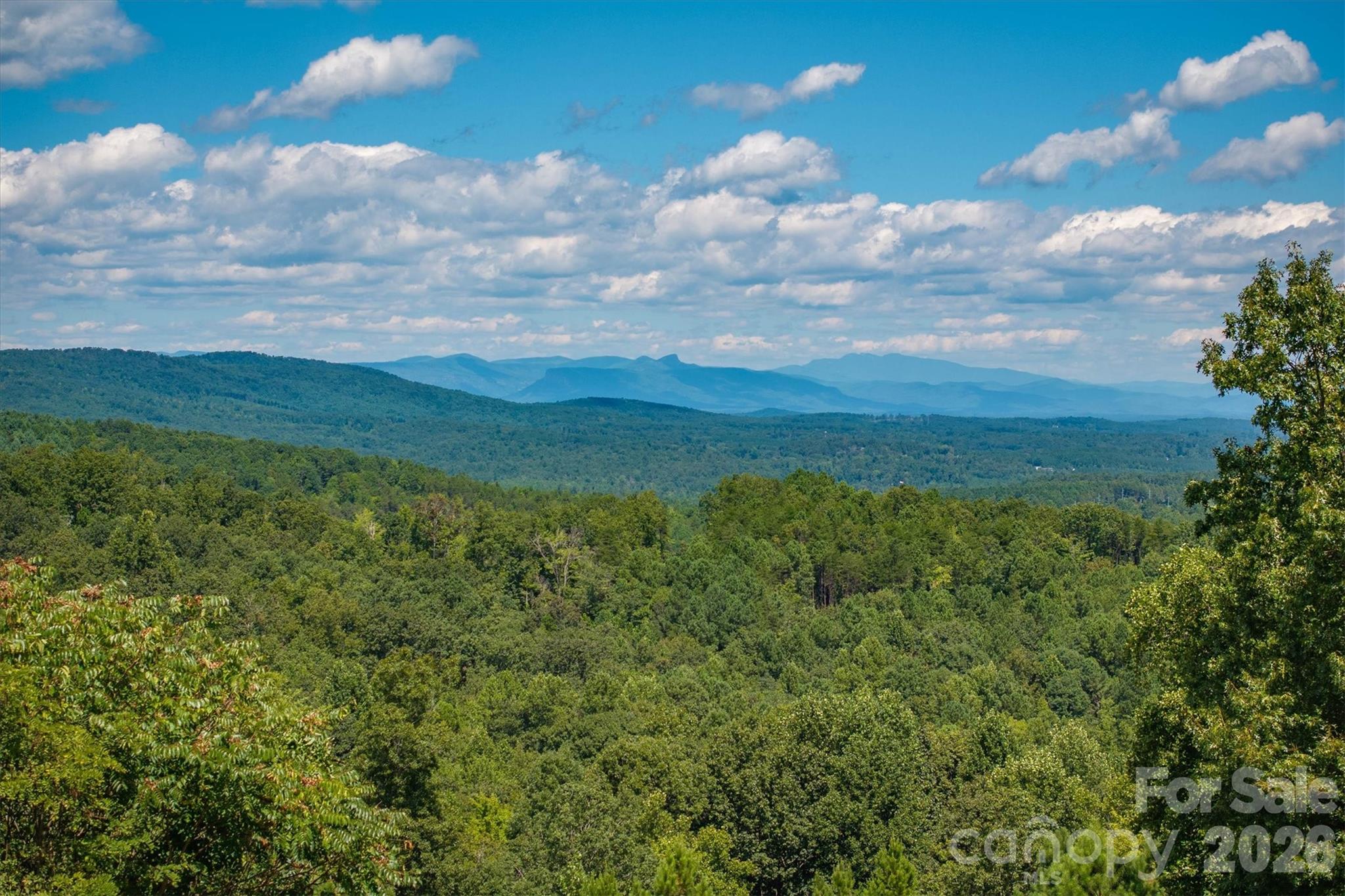 2262 Grandview Peaks Drive Property Photo 13