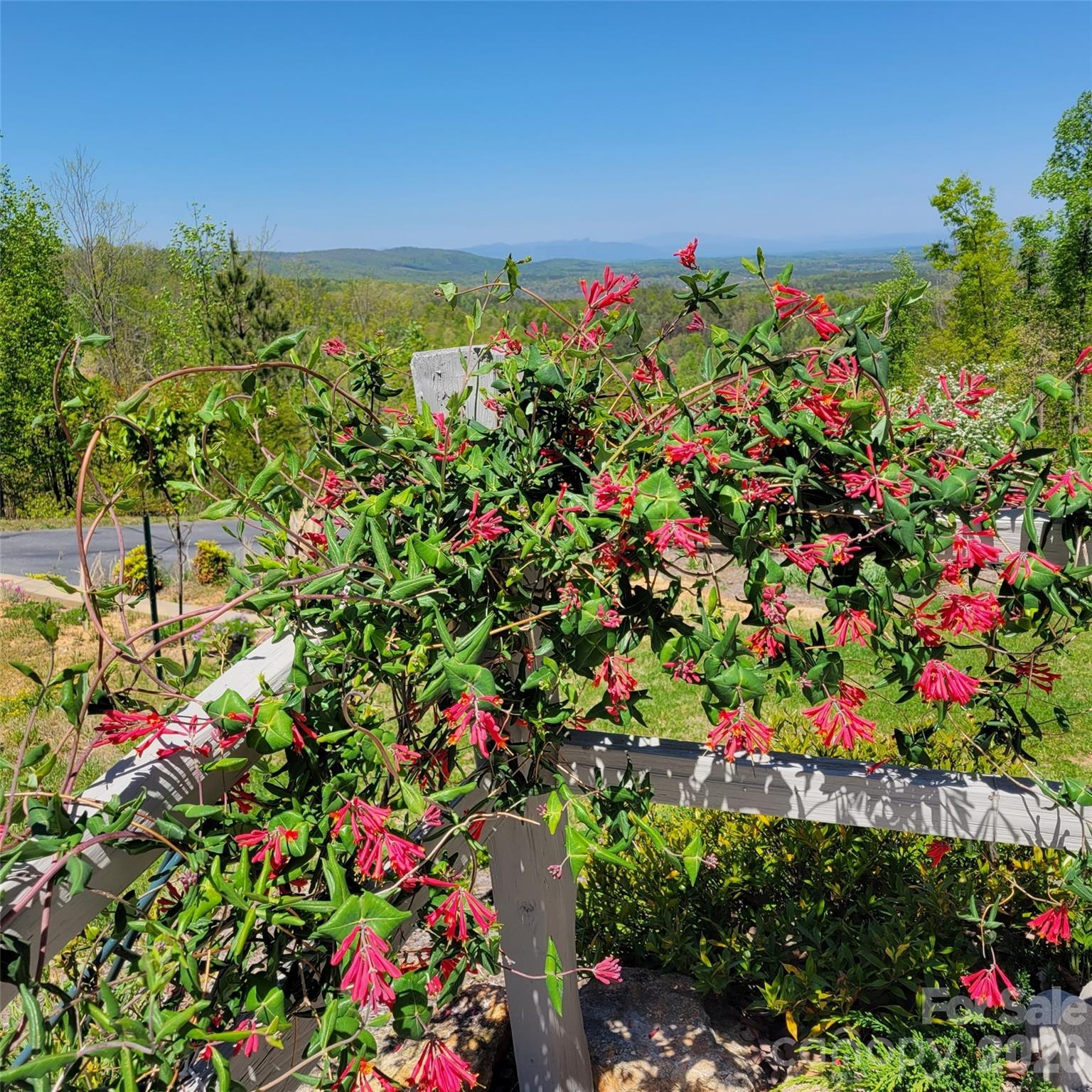 2262 Grandview Peaks Drive Property Photo 40
