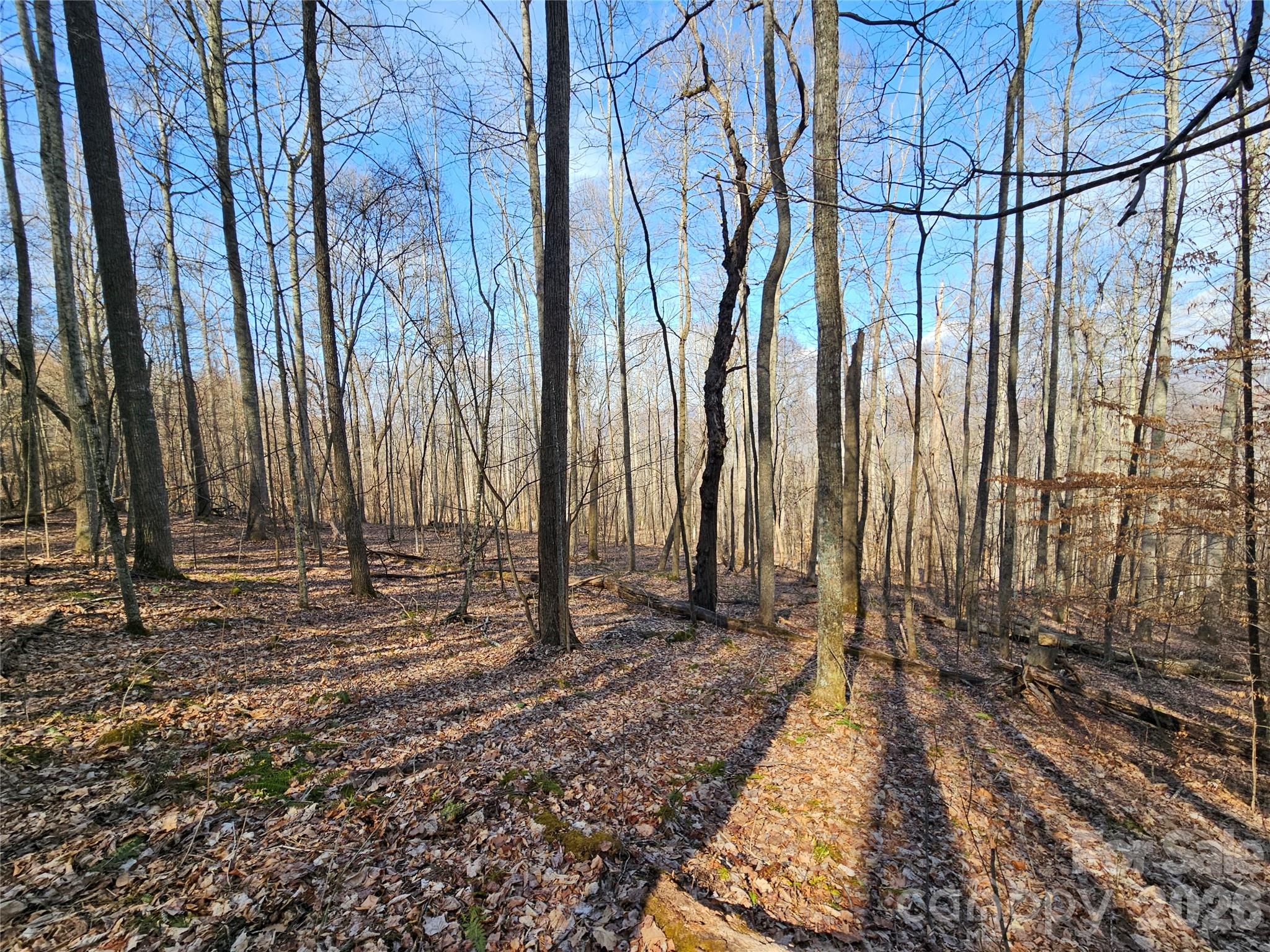 00 Red Wolf Run Road E-7 Property Photo 1
