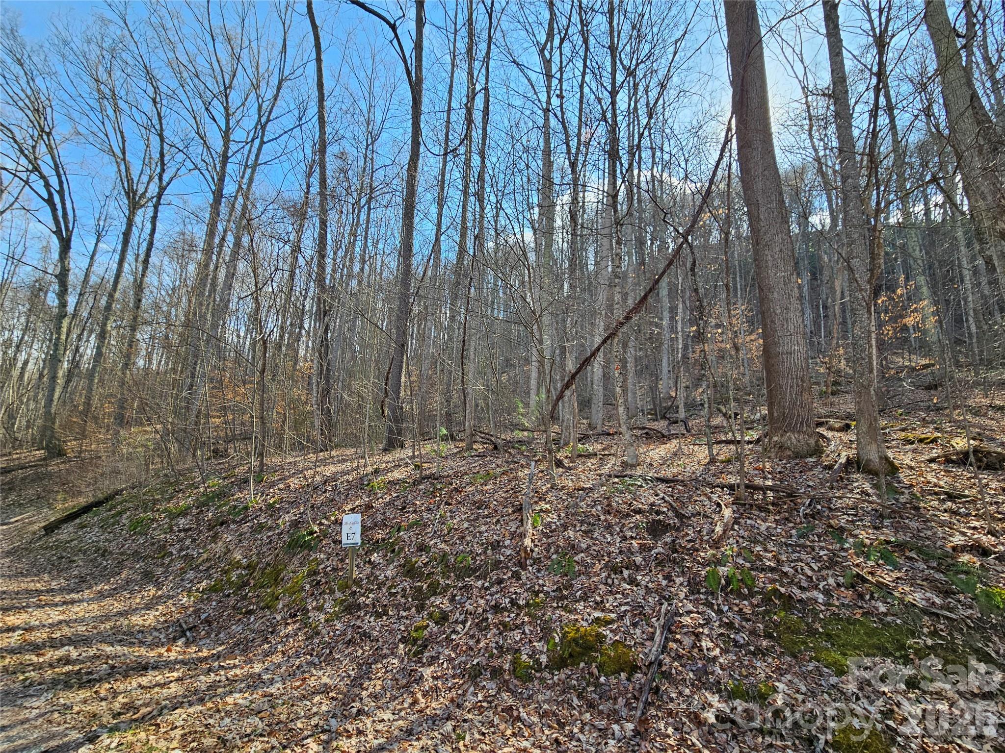 00 Red Wolf Run Road E-7 Property Photo 2