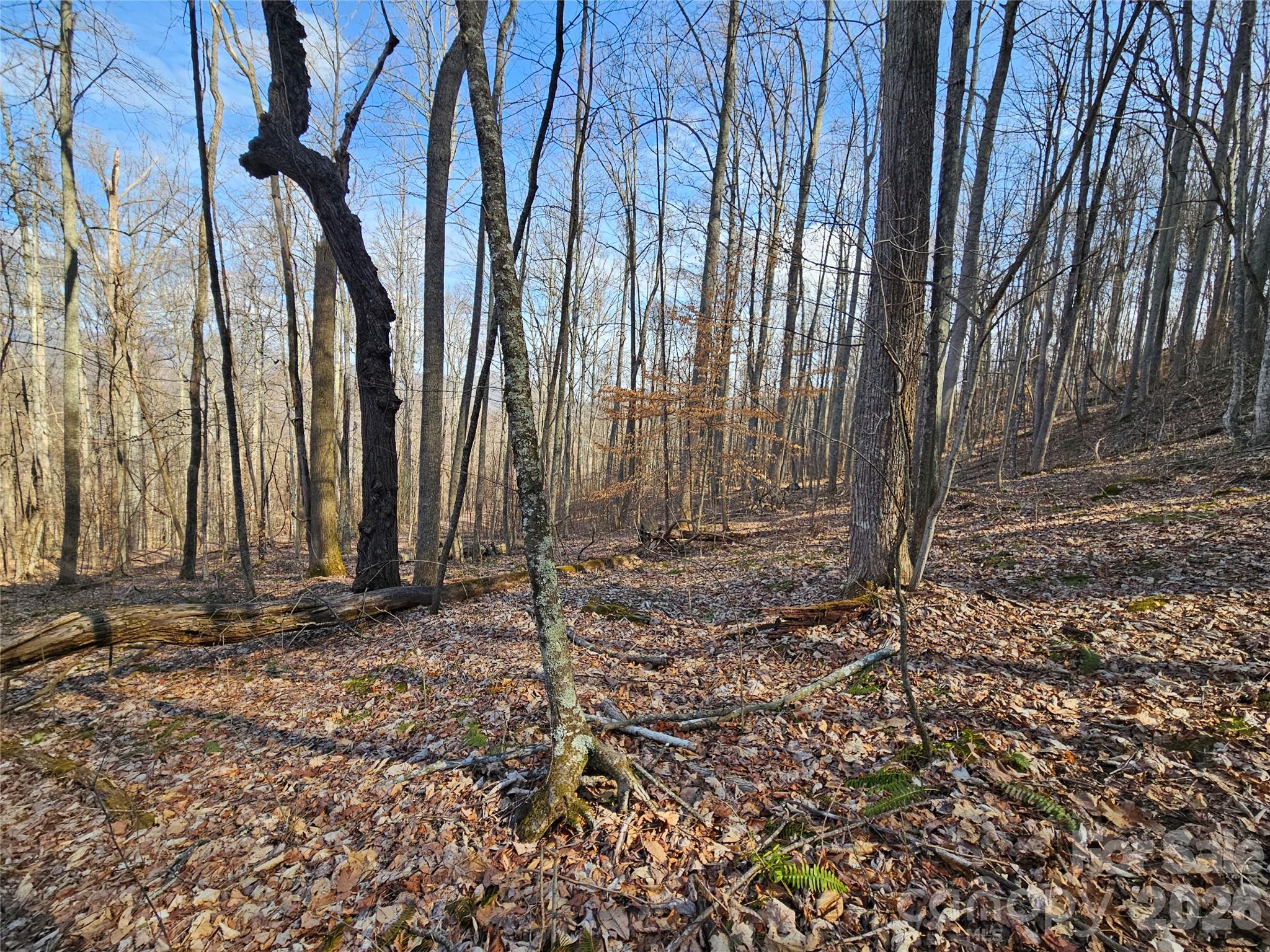 00 Red Wolf Run Road E-7 Property Photo 3