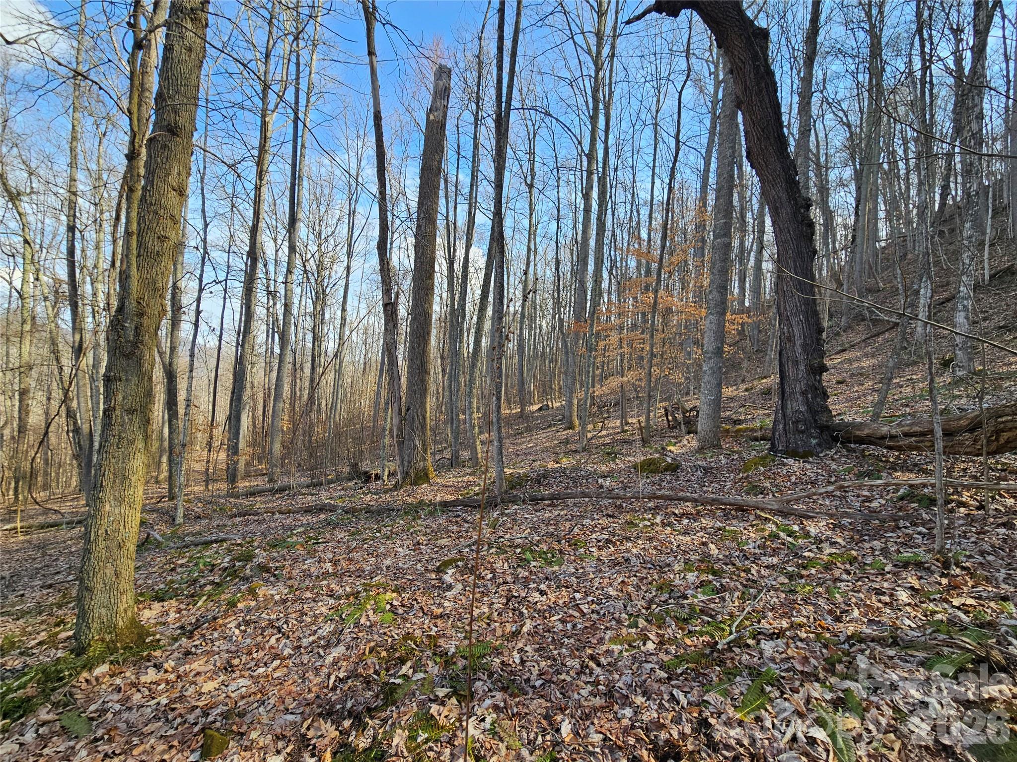 00 Red Wolf Run Road E-7 Property Photo 4