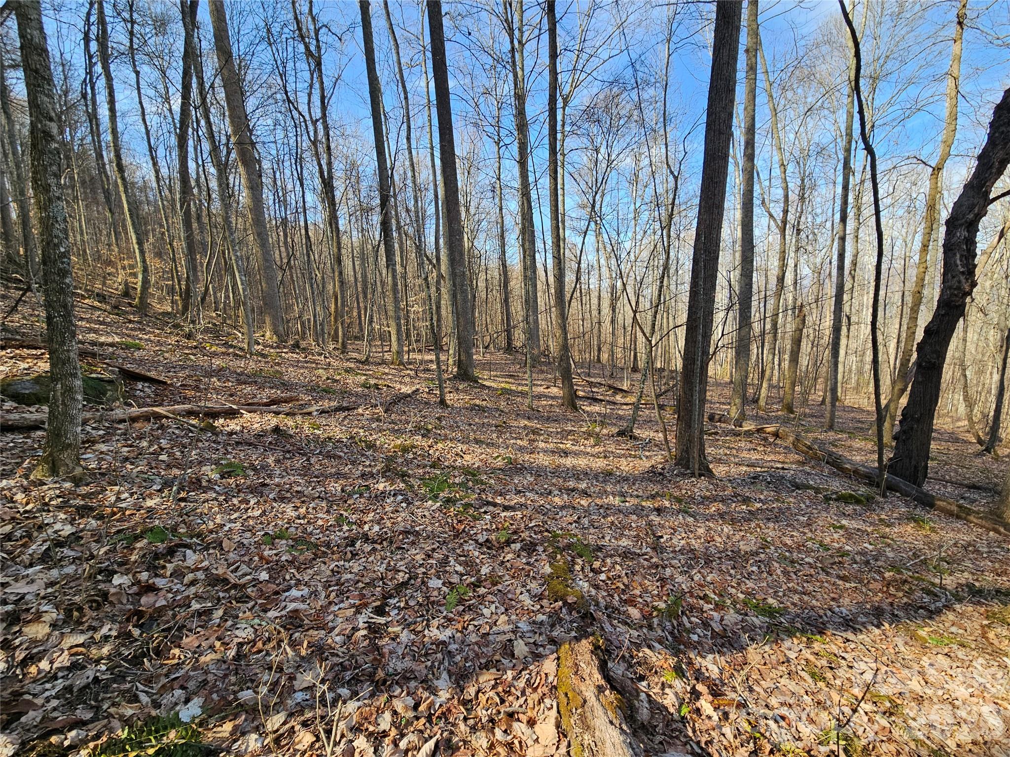 00 Red Wolf Run Road E-7 Property Photo 5