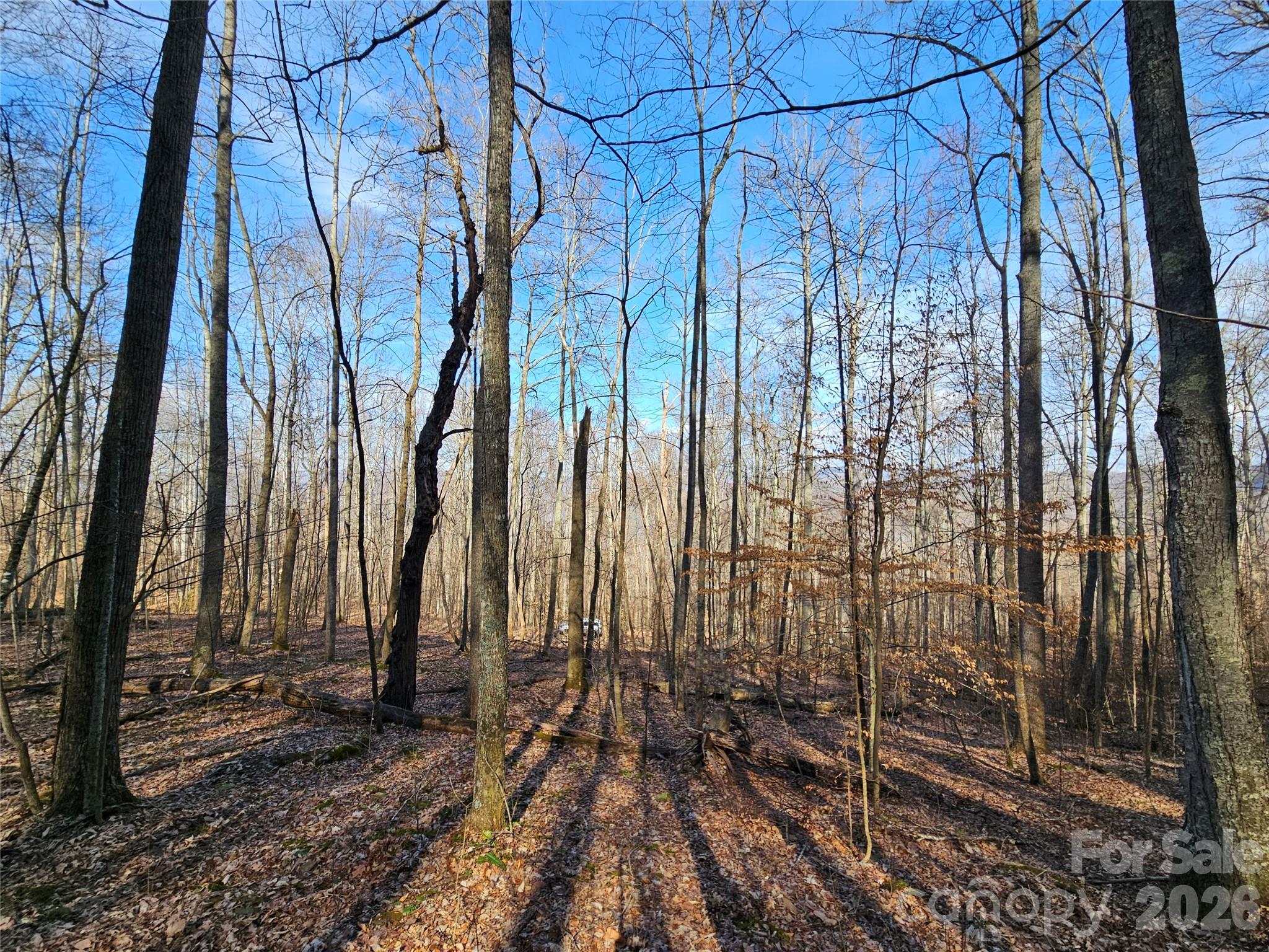 00 Red Wolf Run Road E-7 Property Photo 6