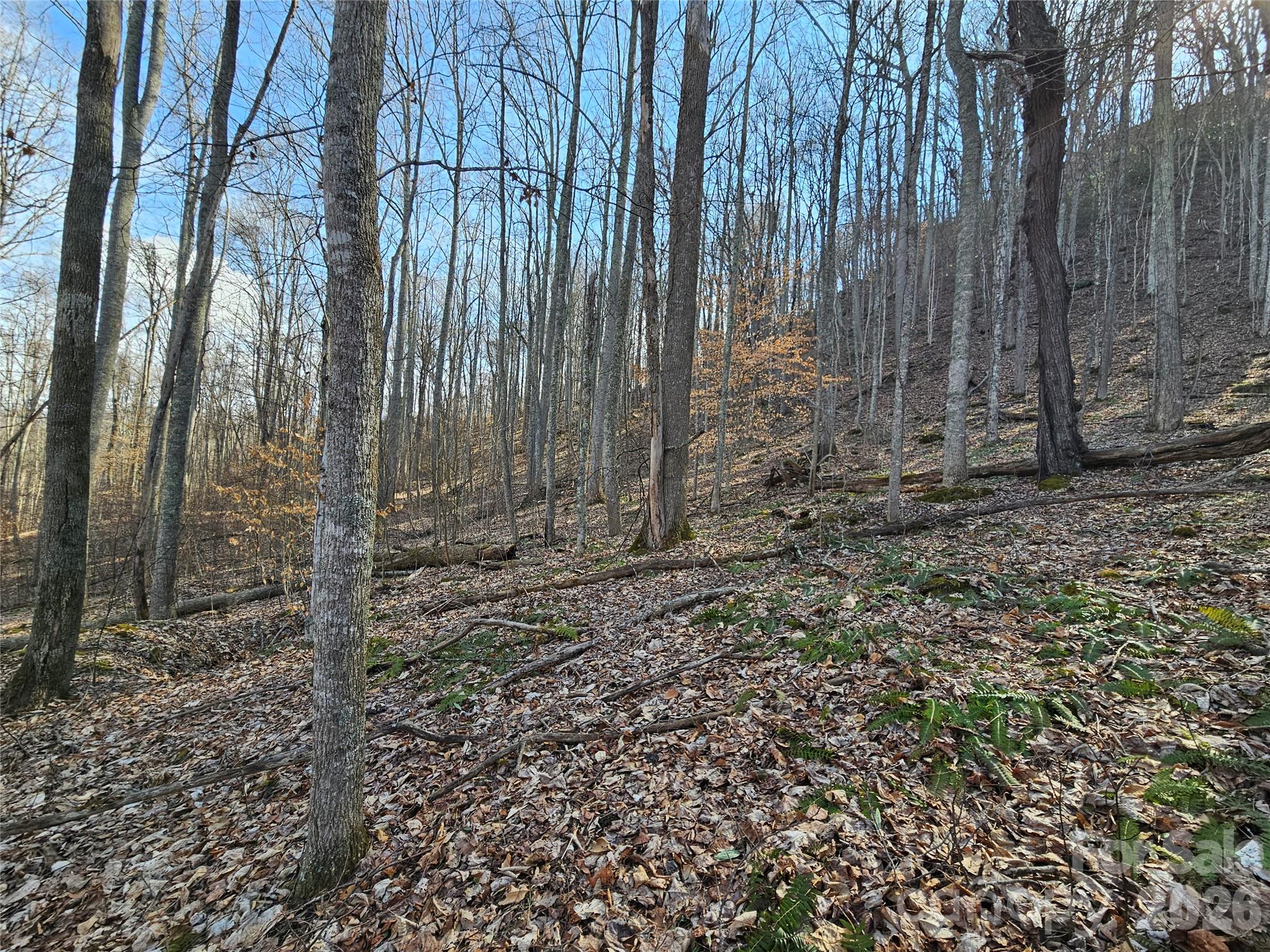 00 Red Wolf Run Road E-7 Property Photo 7