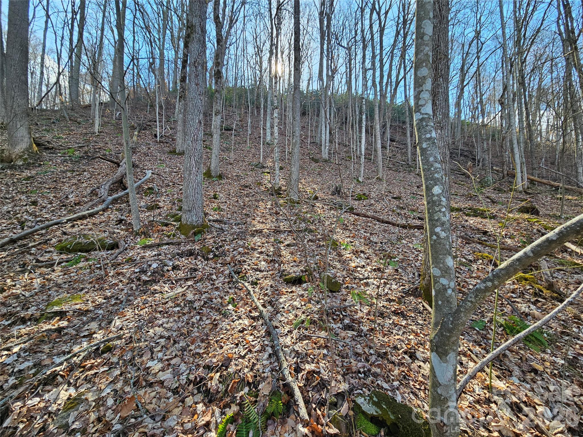 00 Red Wolf Run Road E-7 Property Photo 8