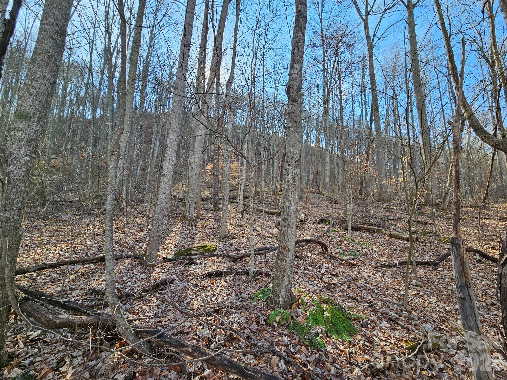 00 Red Wolf Run Road E-7 Property Photo 9
