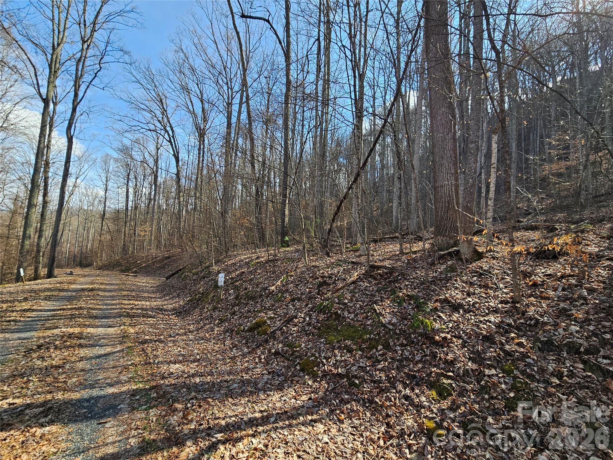 00 Red Wolf Run Road E-7 Property Photo 10