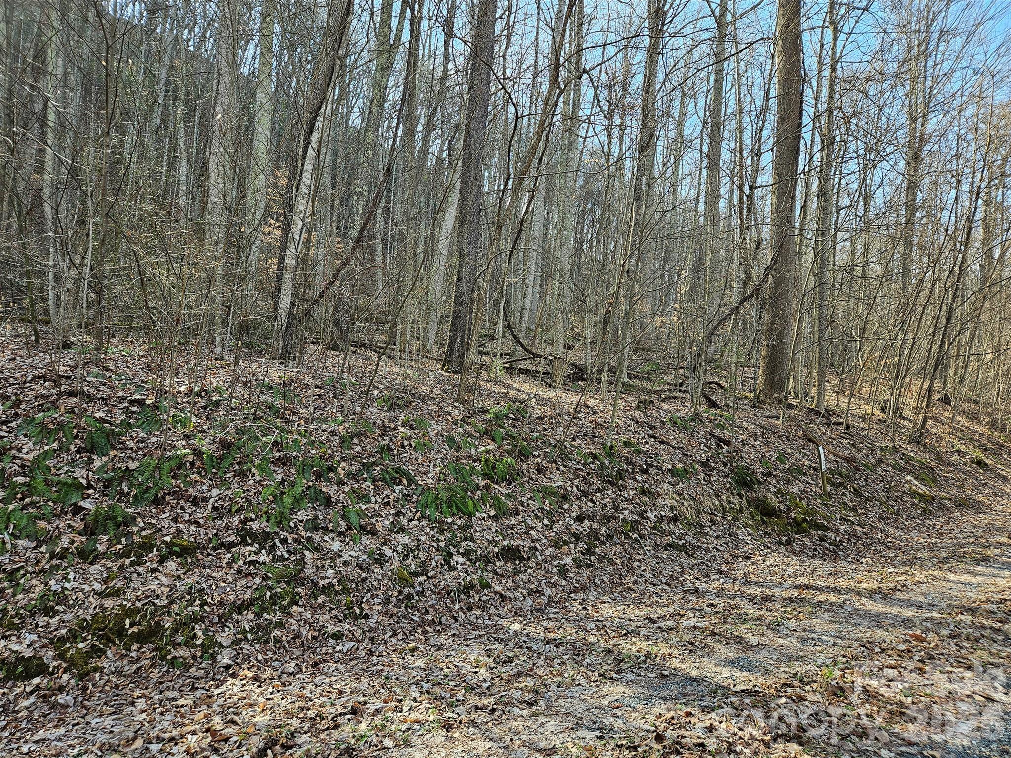 00 Red Wolf Run Road E-7 Property Photo 11