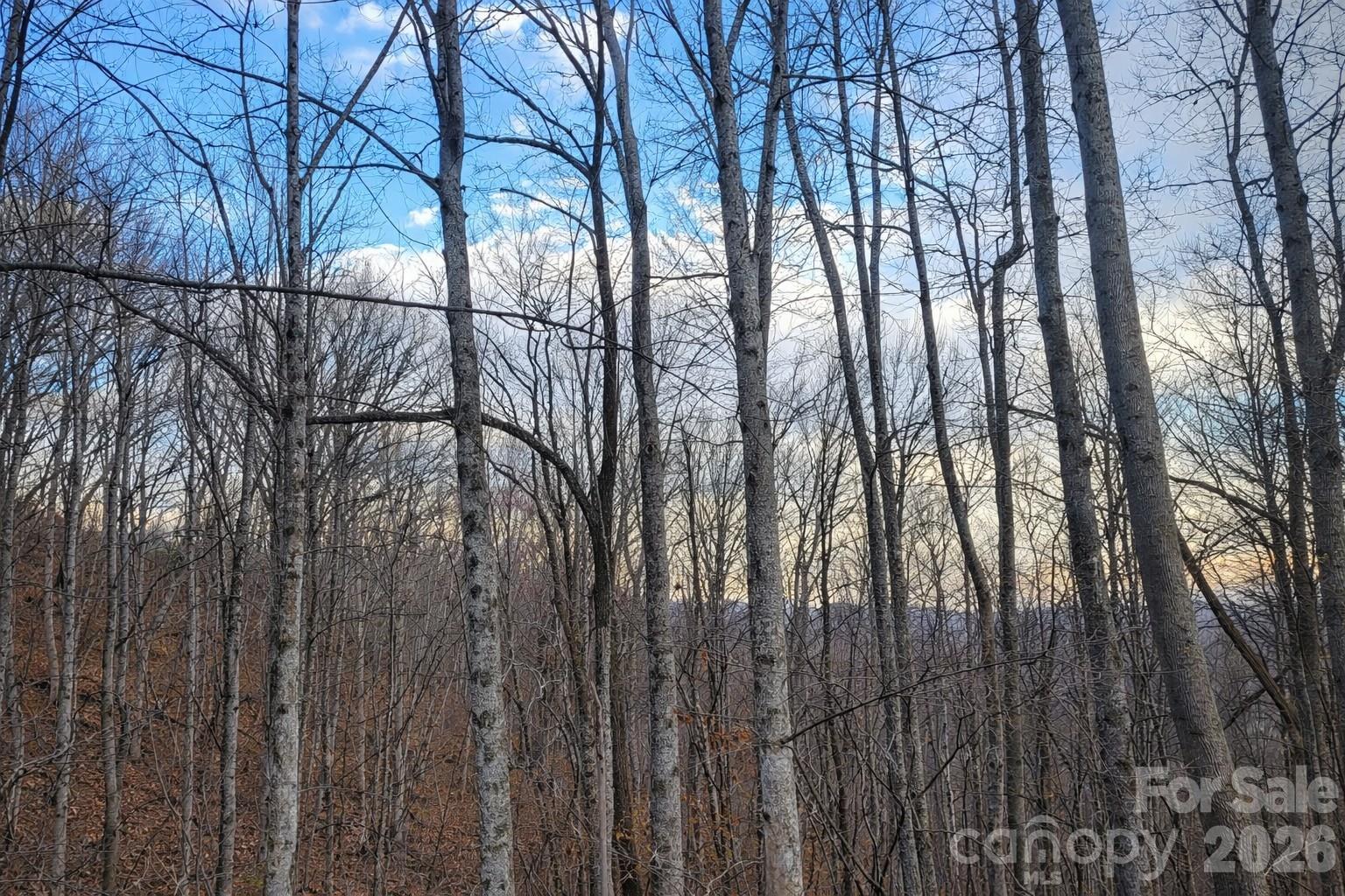 00 Upward Way 1 Property Photo 7