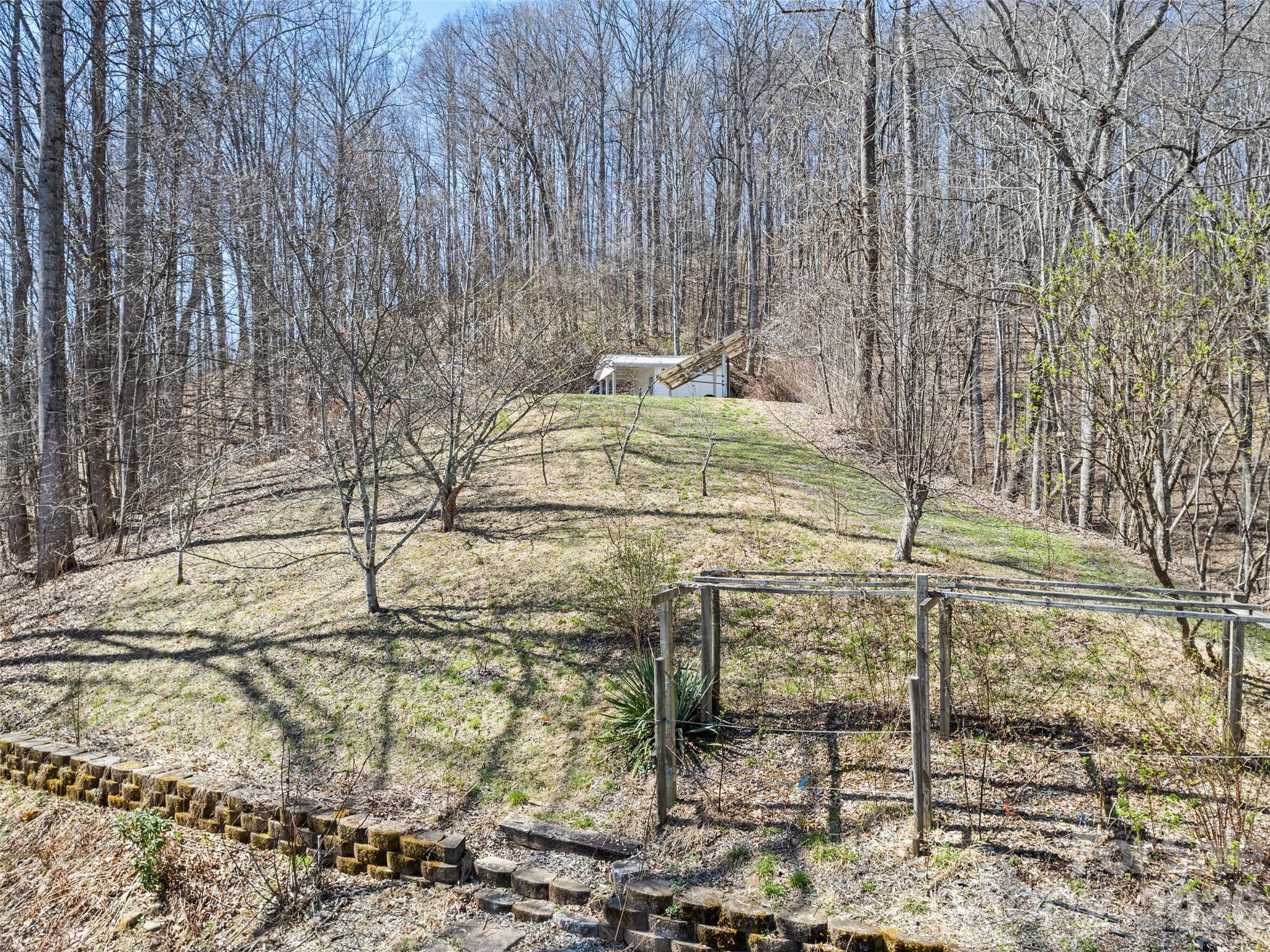 401 Tipstill Cove Property Photo 35