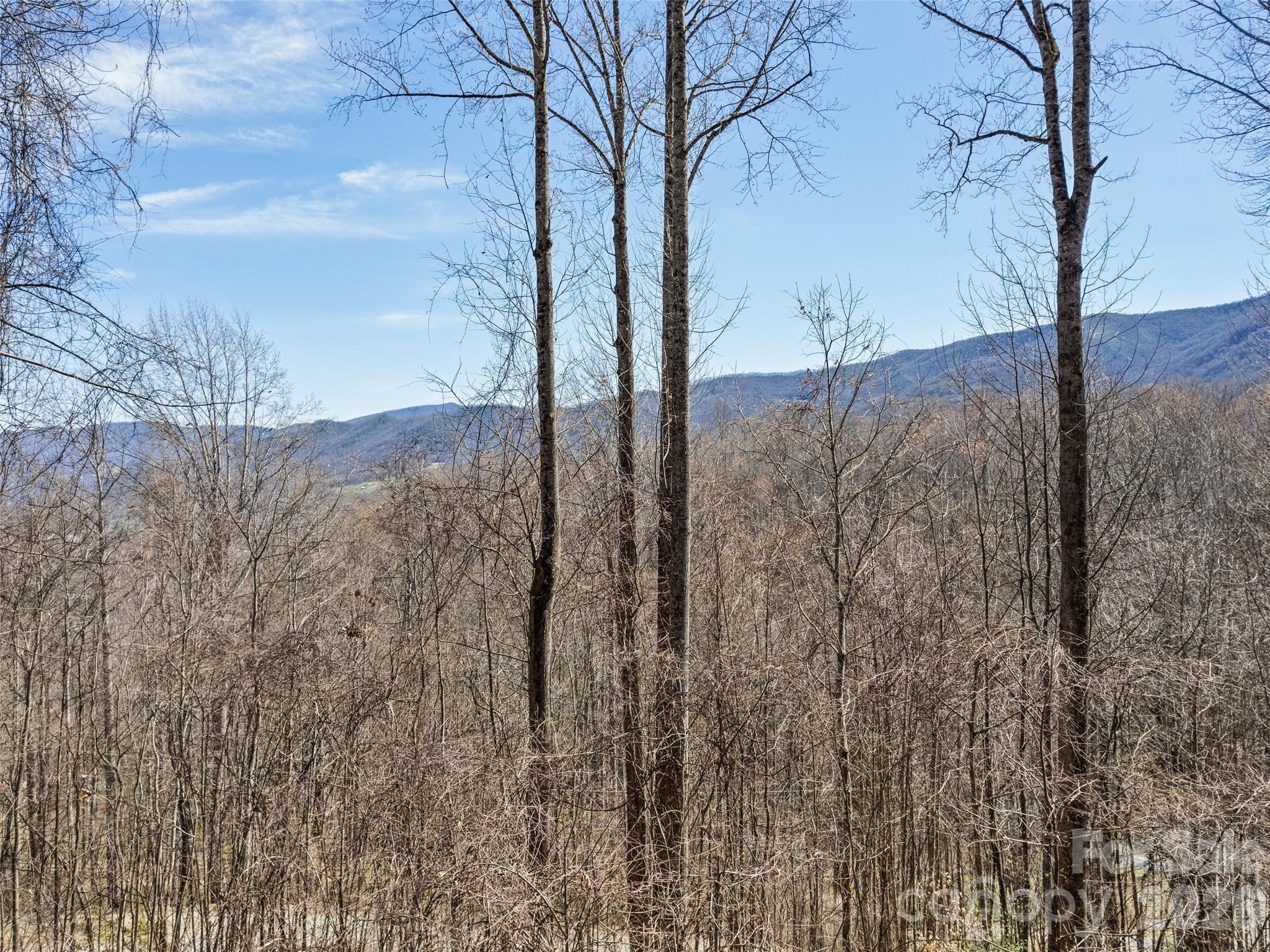 401 Tipstill Cove Property Photo 39