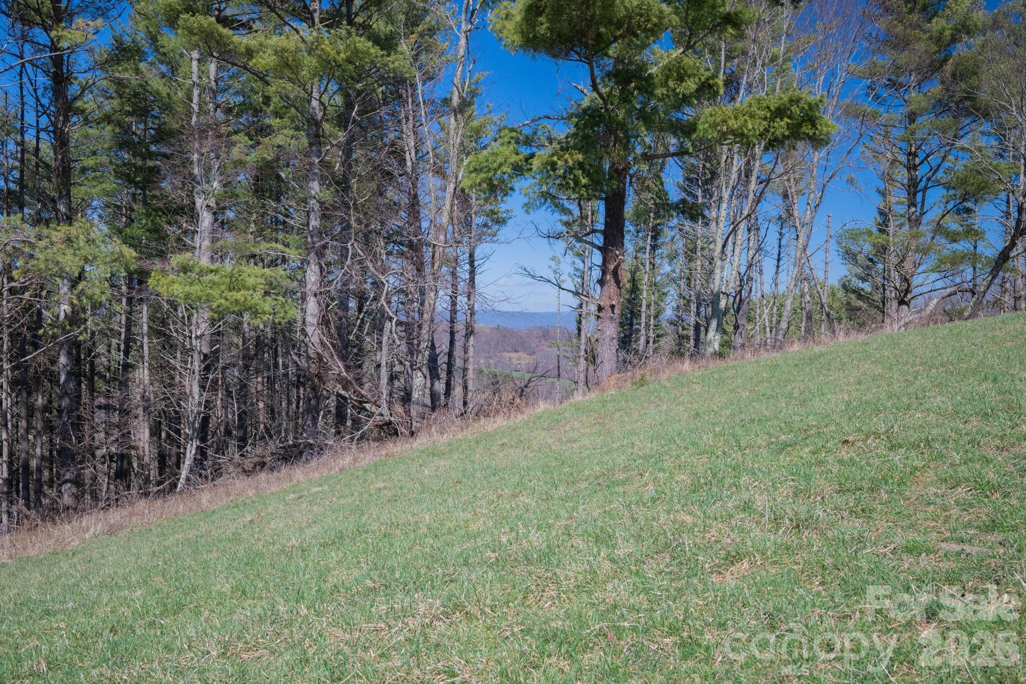 52 Clouds Rest Drive 52 Property Photo 17