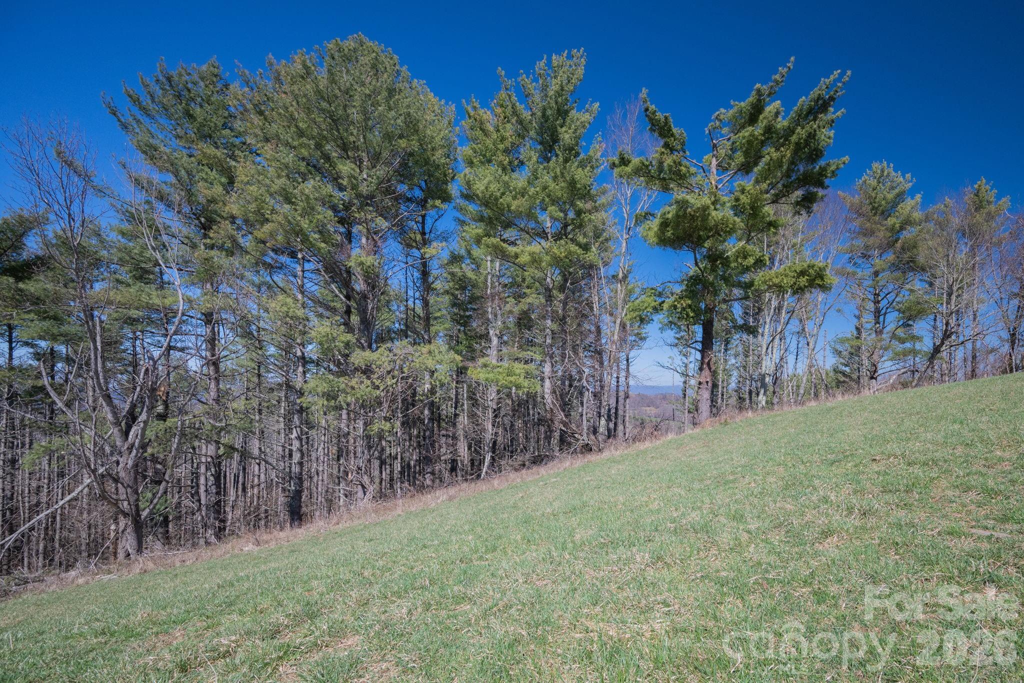 52 Clouds Rest Drive 52 Property Photo 18