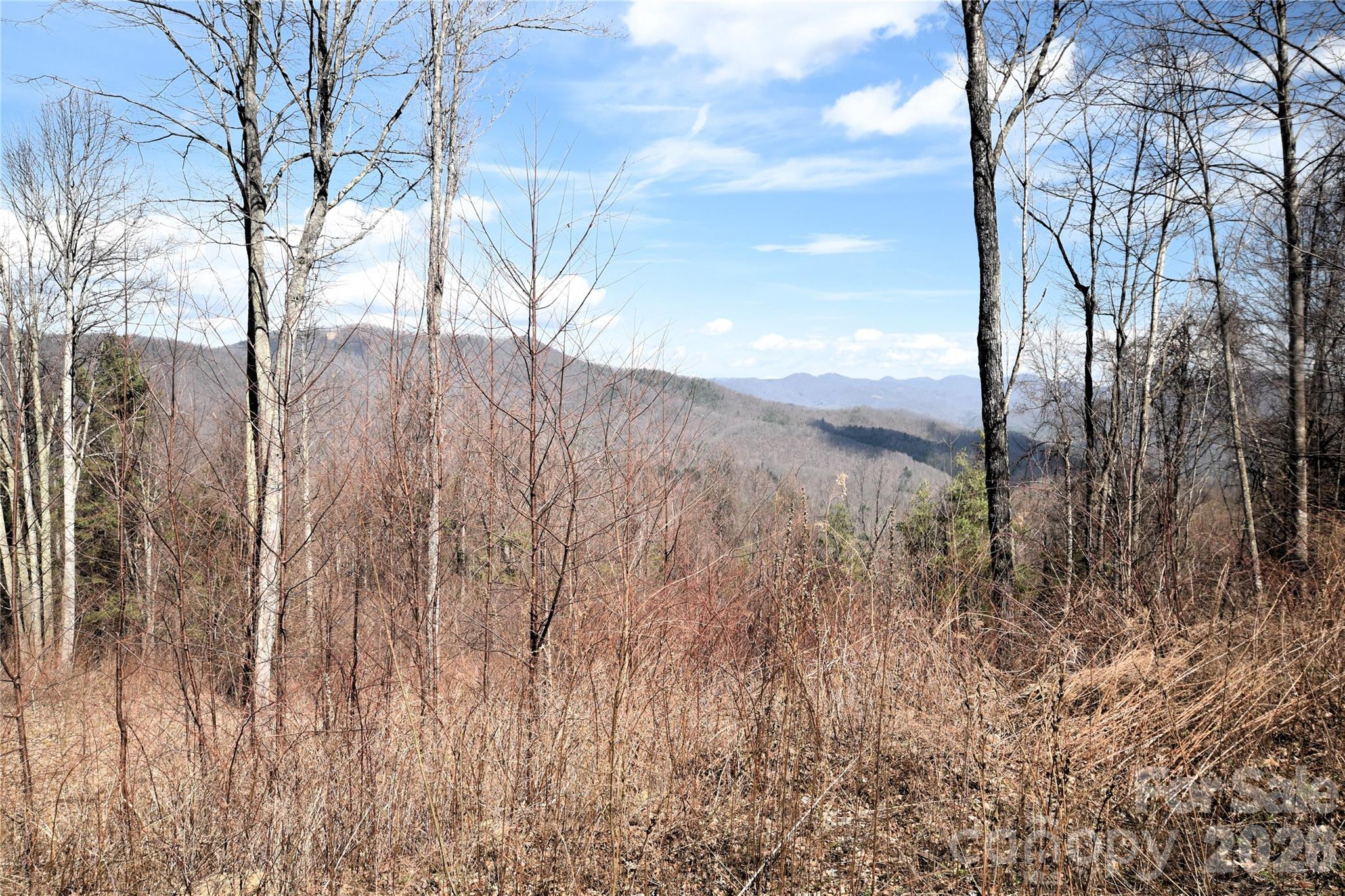 000 Curry Comb Trail 513 Property Photo 1