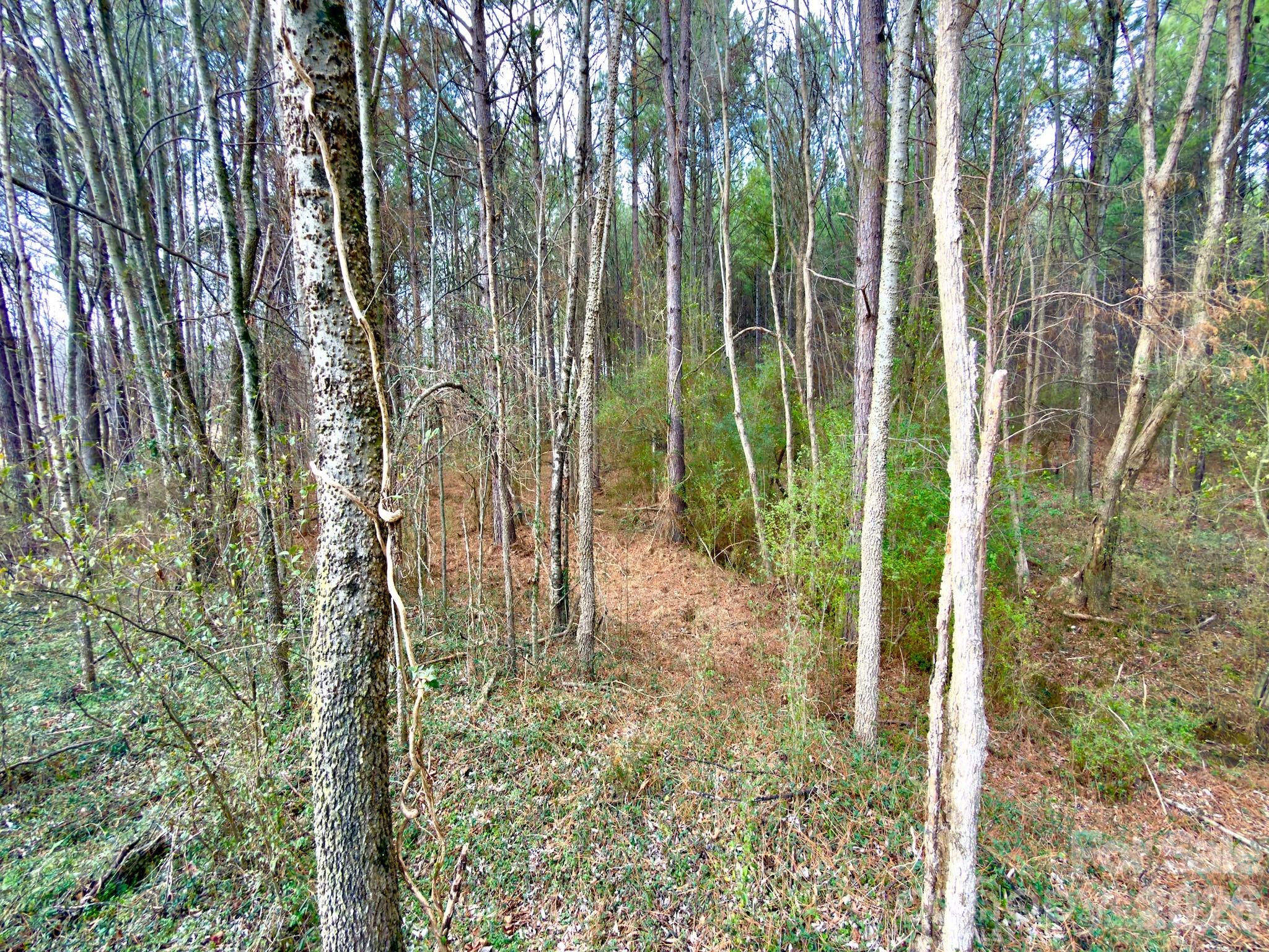 4794 Cauble Road Property Photo 10