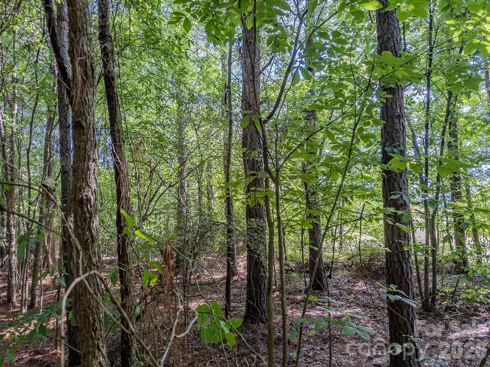 4794 Cauble Road Property Photo 14