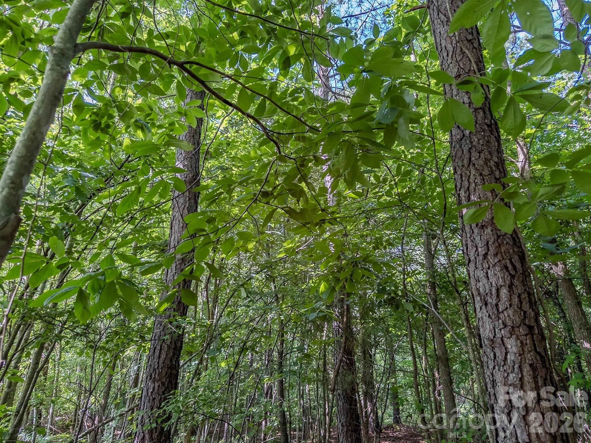 4794 Cauble Road Property Photo 15