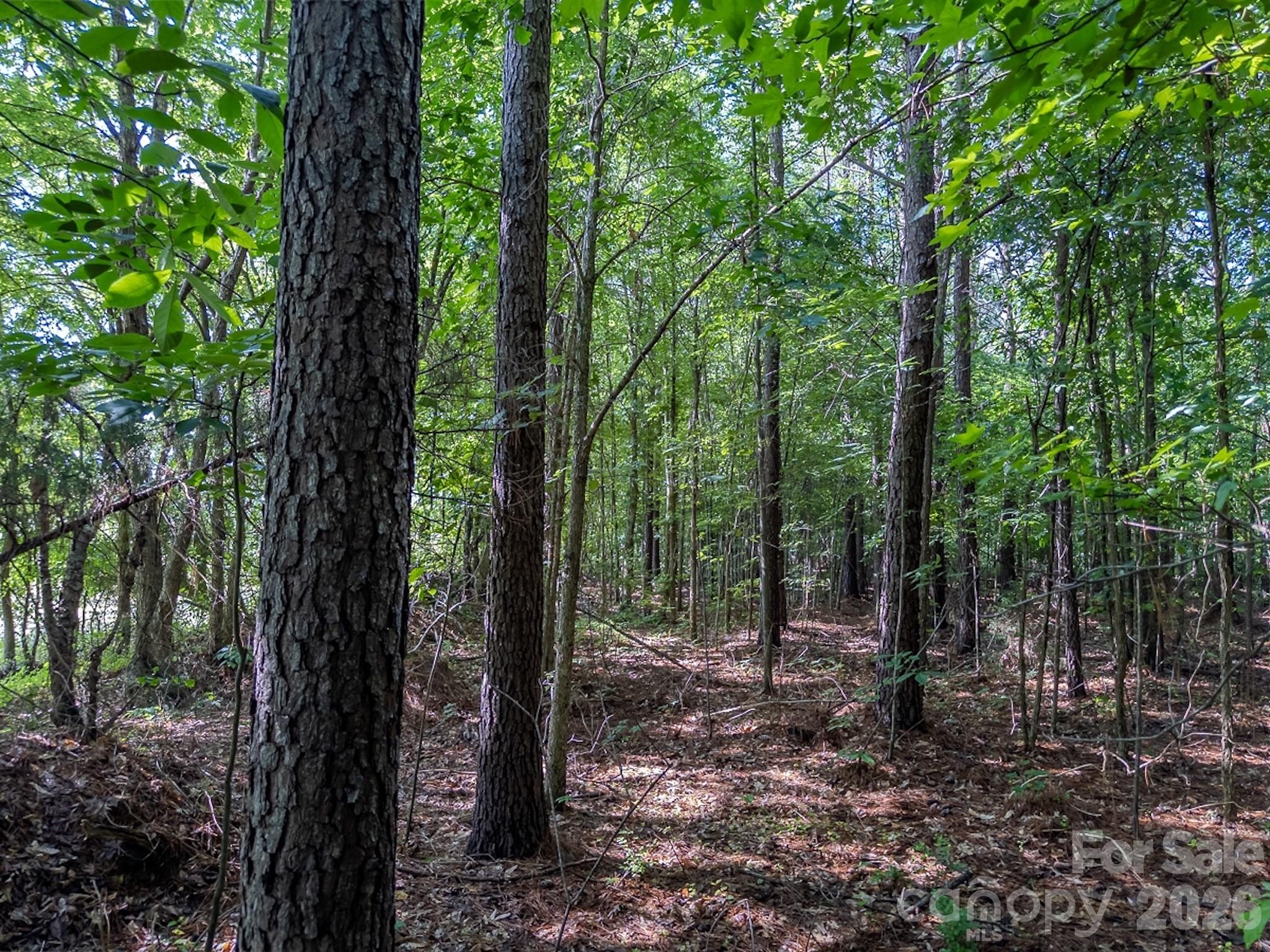 4794 Cauble Road Property Photo 16