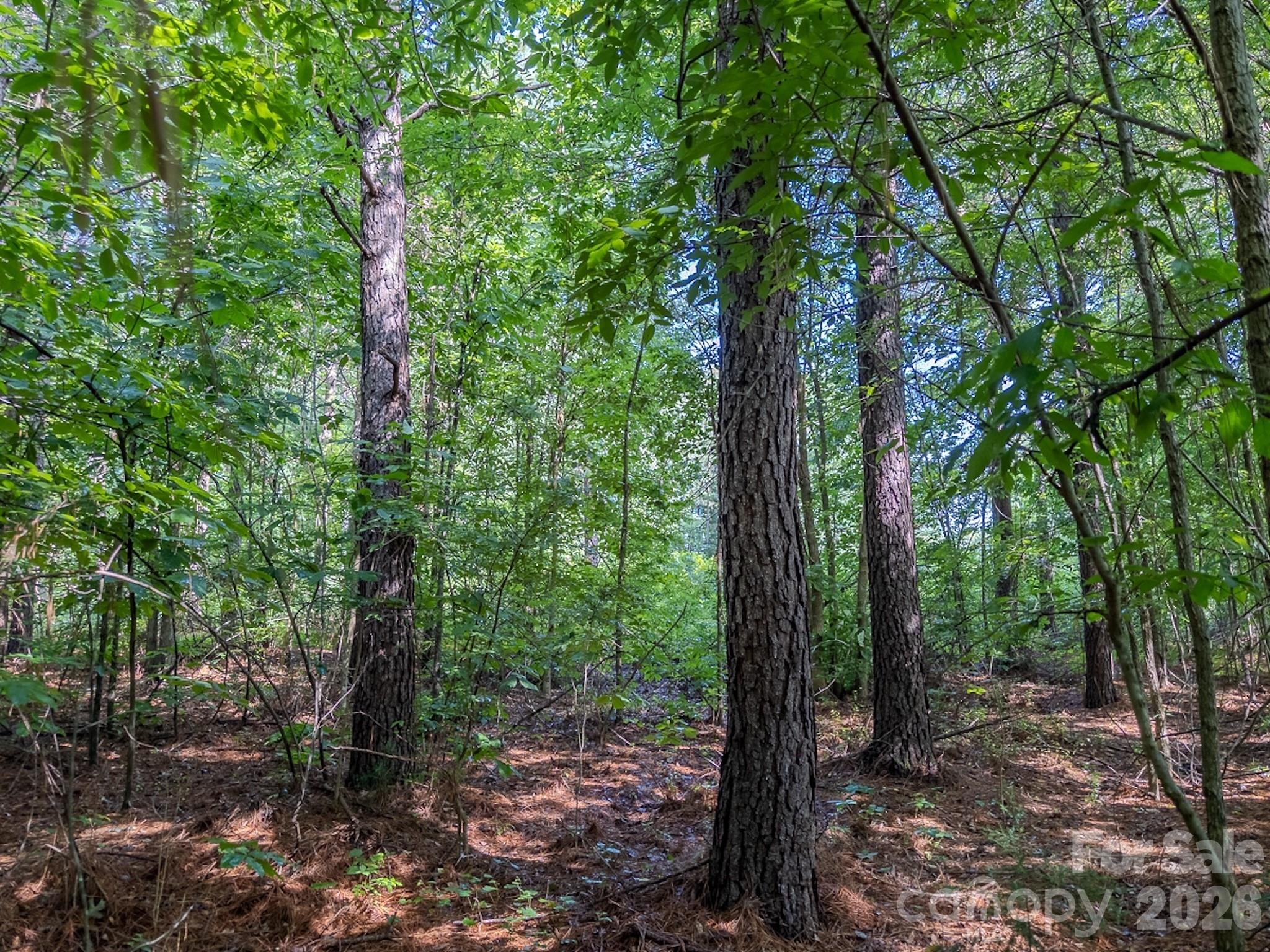 4794 Cauble Road Property Photo 17