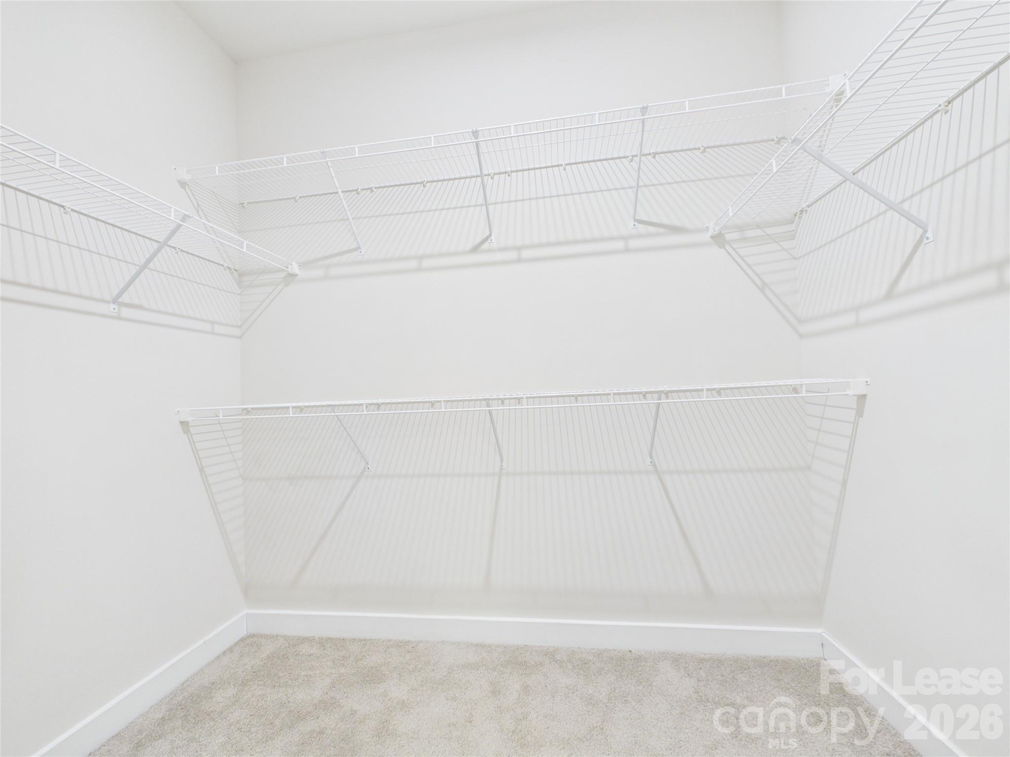 3131 Coquina Lane Property Photo 19