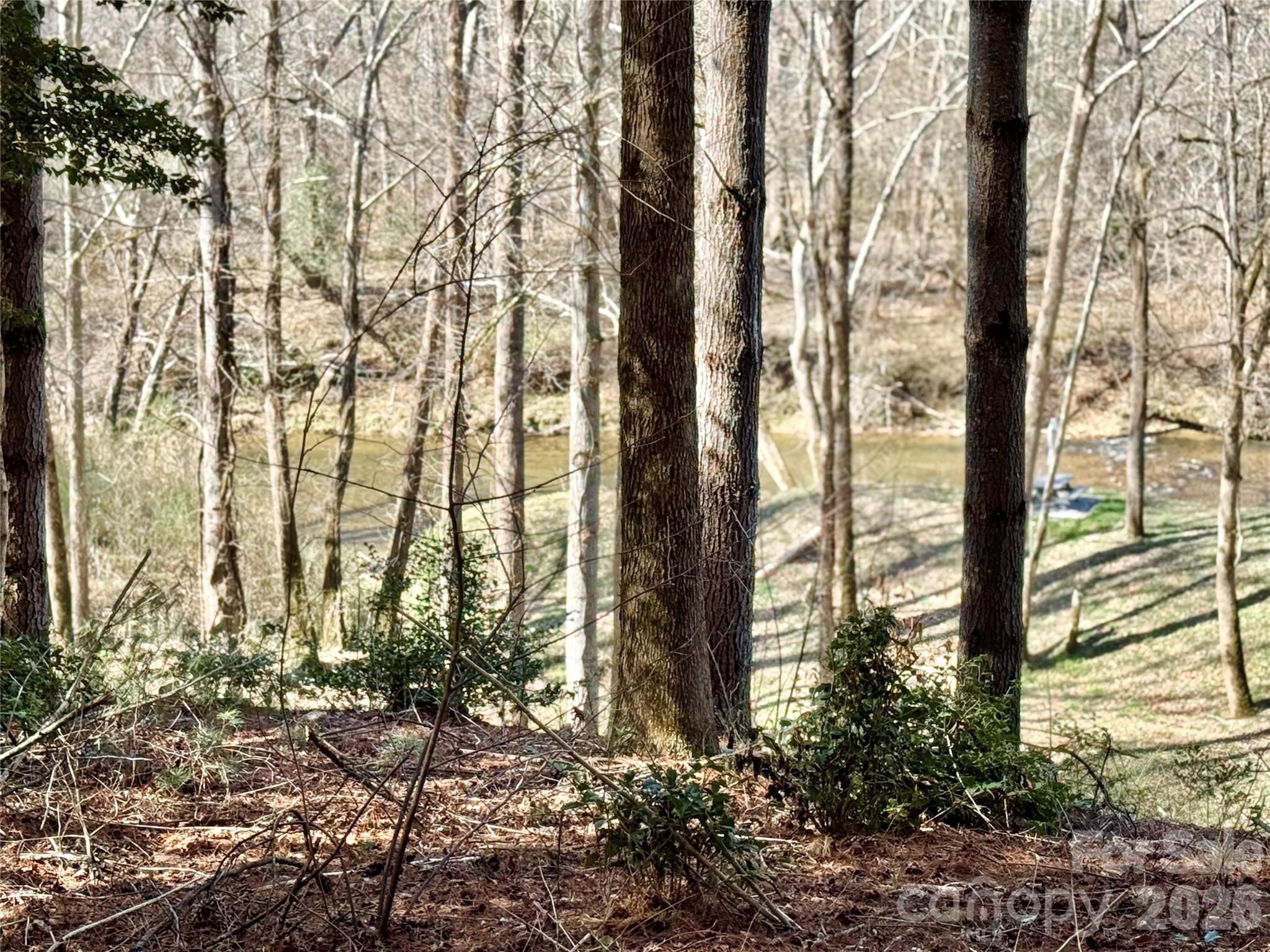 6129 Painted Ridge Trail Lot 739 Property Photo 2