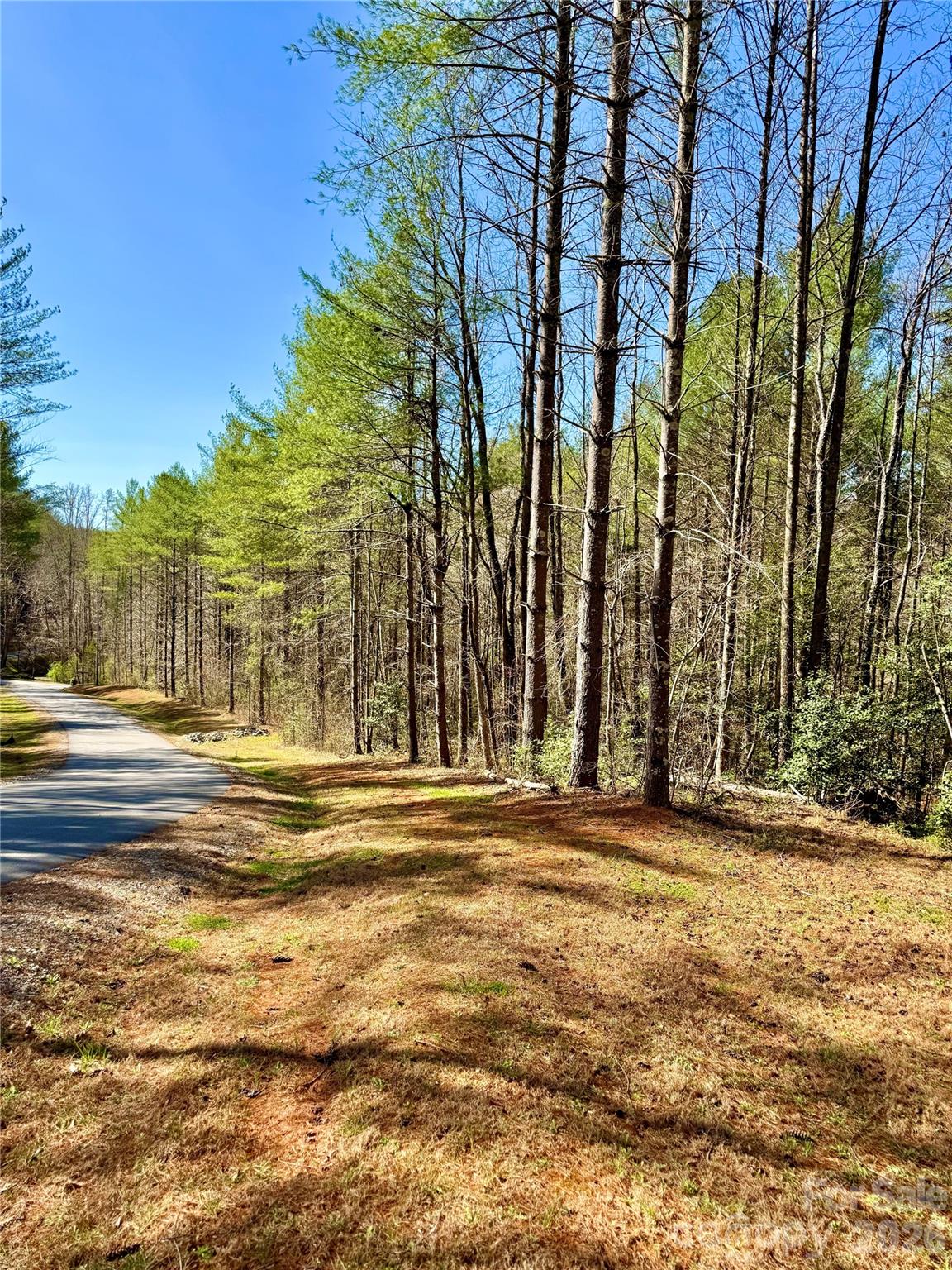 6129 Painted Ridge Trail Lot 739 Property Photo 3