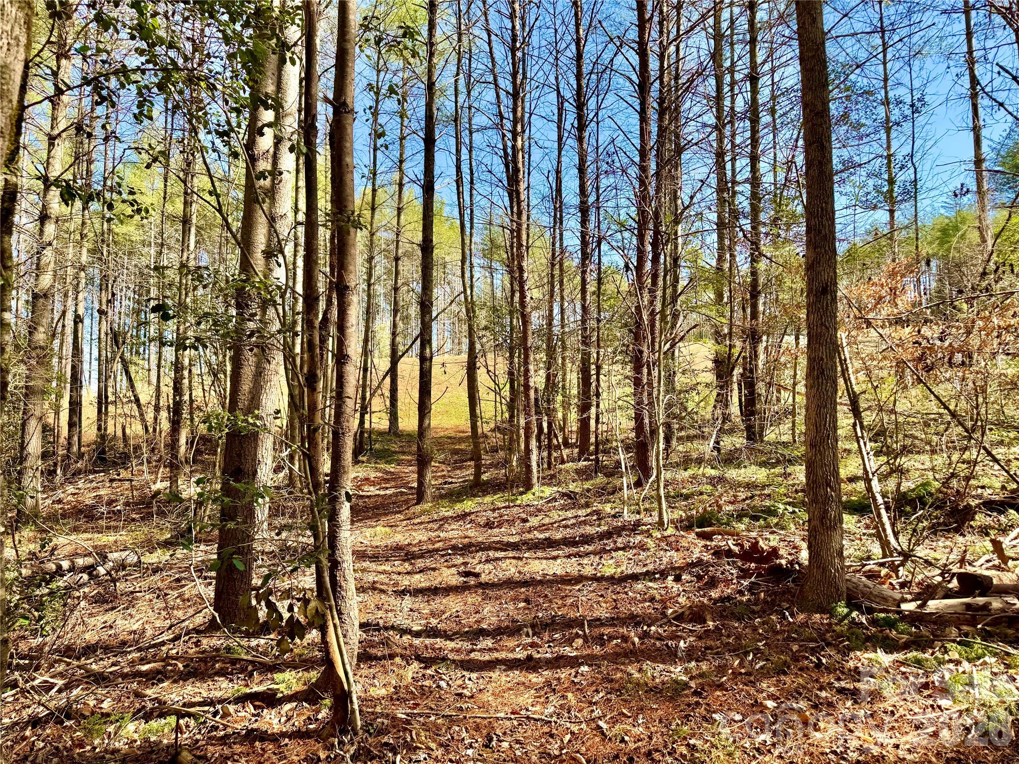 6129 Painted Ridge Trail Lot 739 Property Photo 4