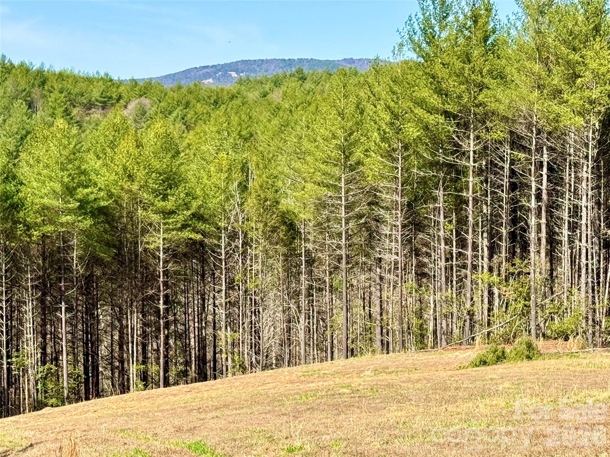 6129 Painted Ridge Trail Lot 739 Property Photo 9