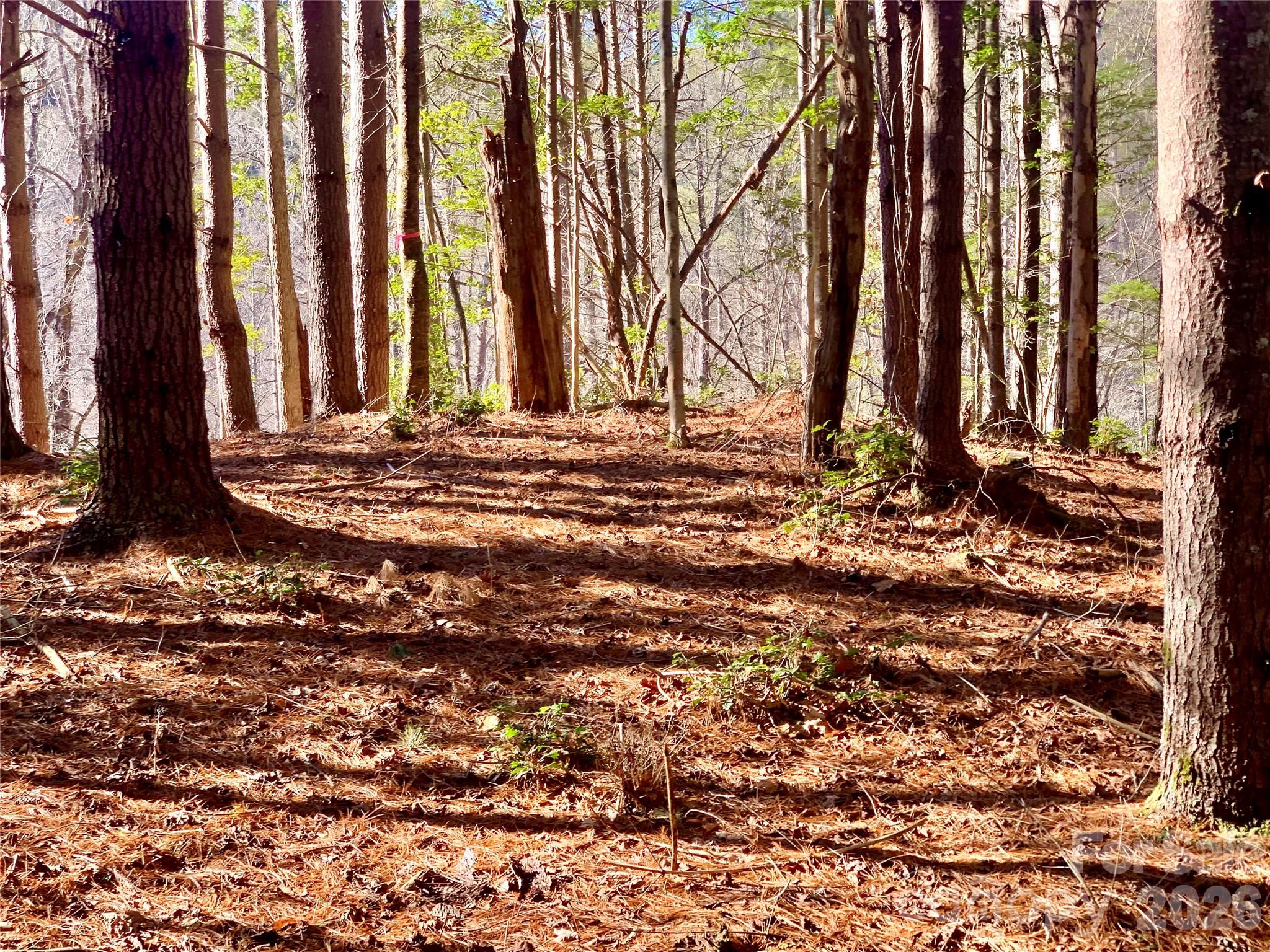 6129 Painted Ridge Trail Lot 739 Property Photo 11