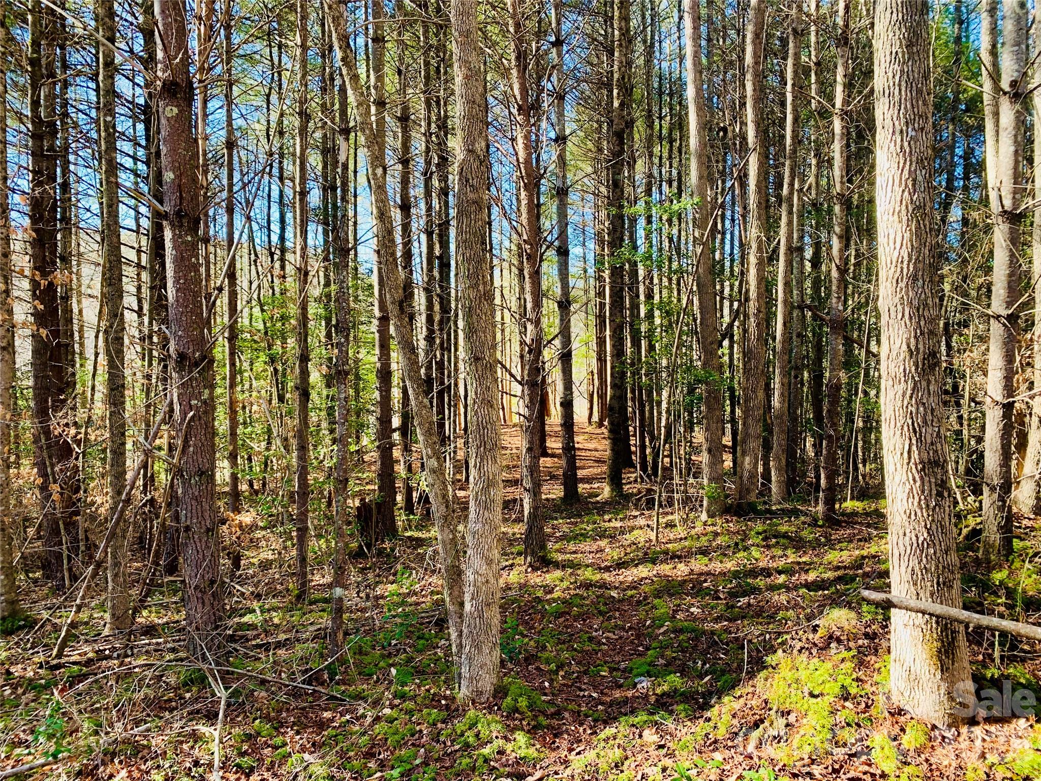 6129 Painted Ridge Trail Lot 739 Property Photo 12